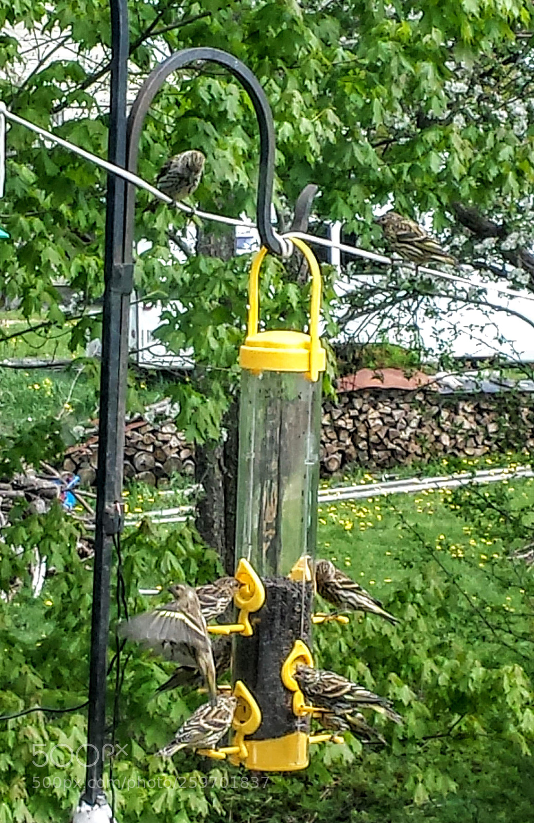 Samsung Galaxy S4 sample photo. Untitled photography