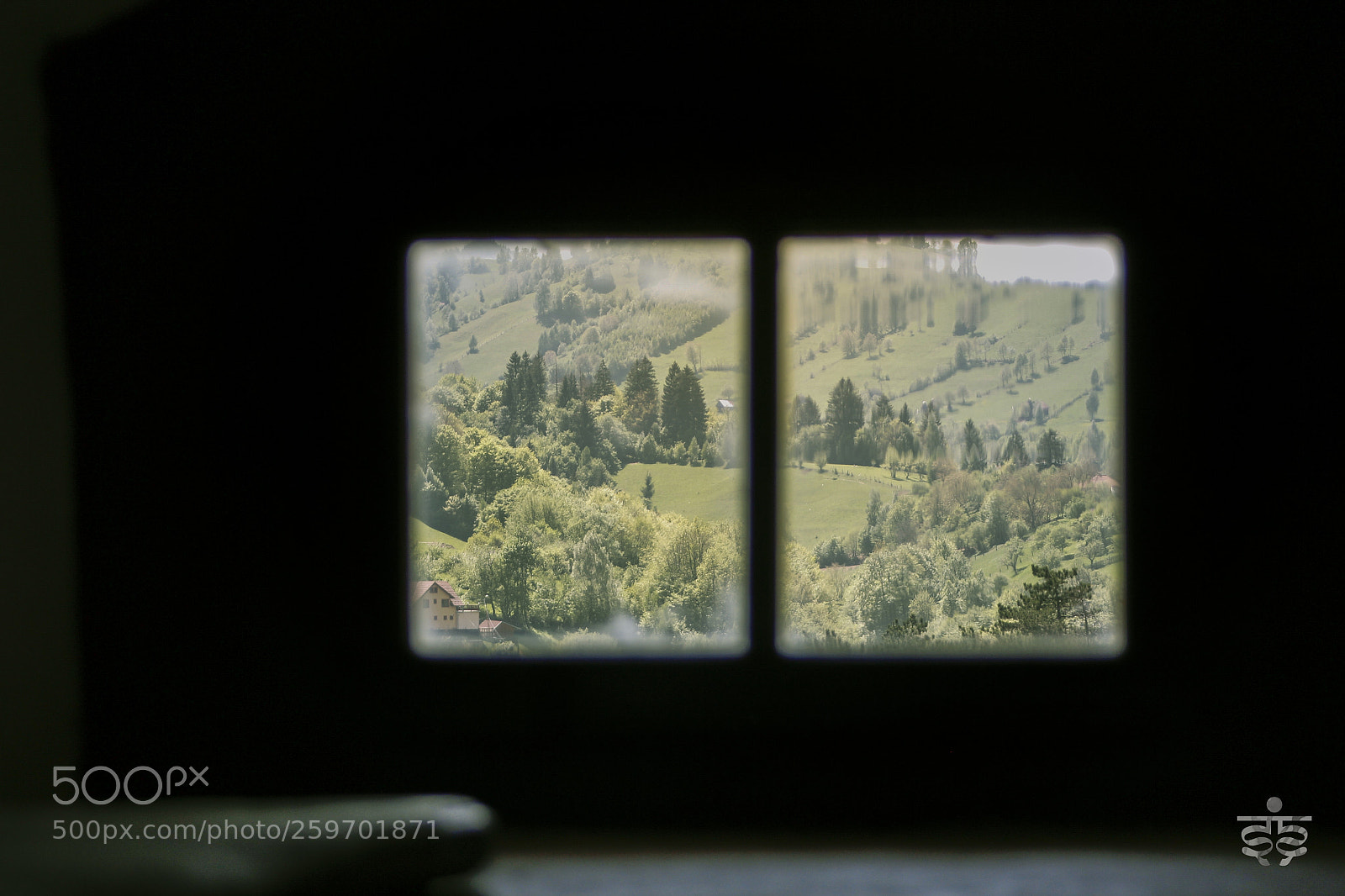 Canon EOS 600D (Rebel EOS T3i / EOS Kiss X5) sample photo. The frame of trapped photography
