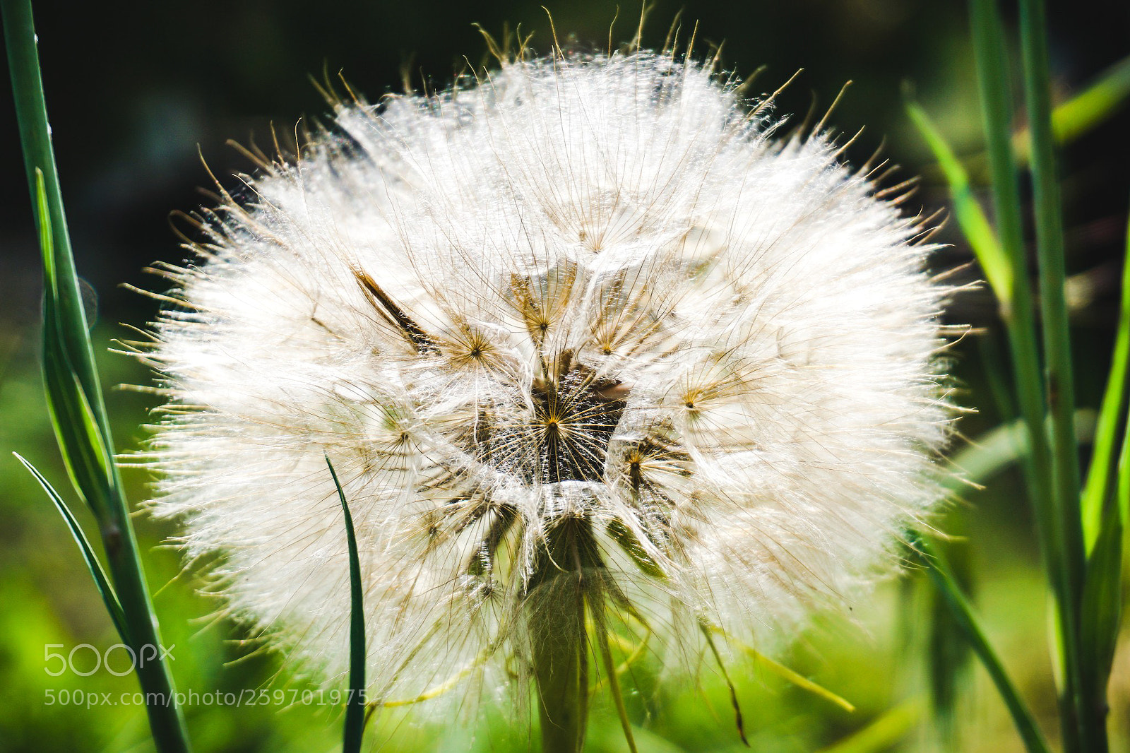 Sony a6000 sample photo. Spring time photography