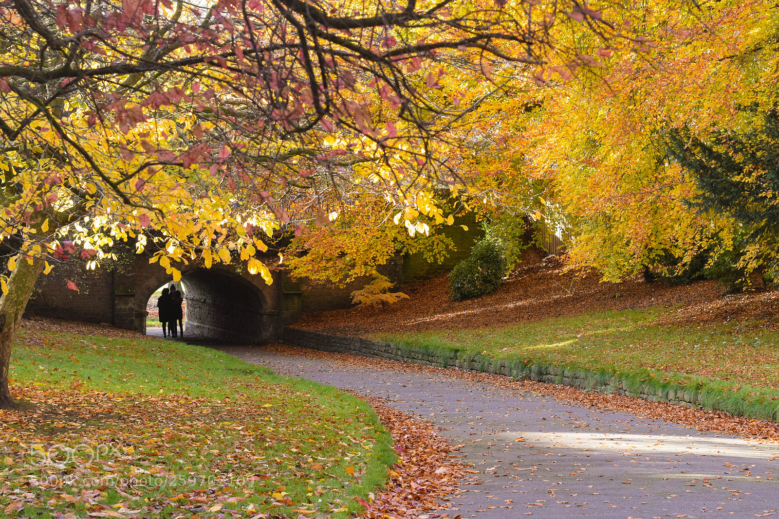 Nikon D5300 sample photo. Colorful path to the photography