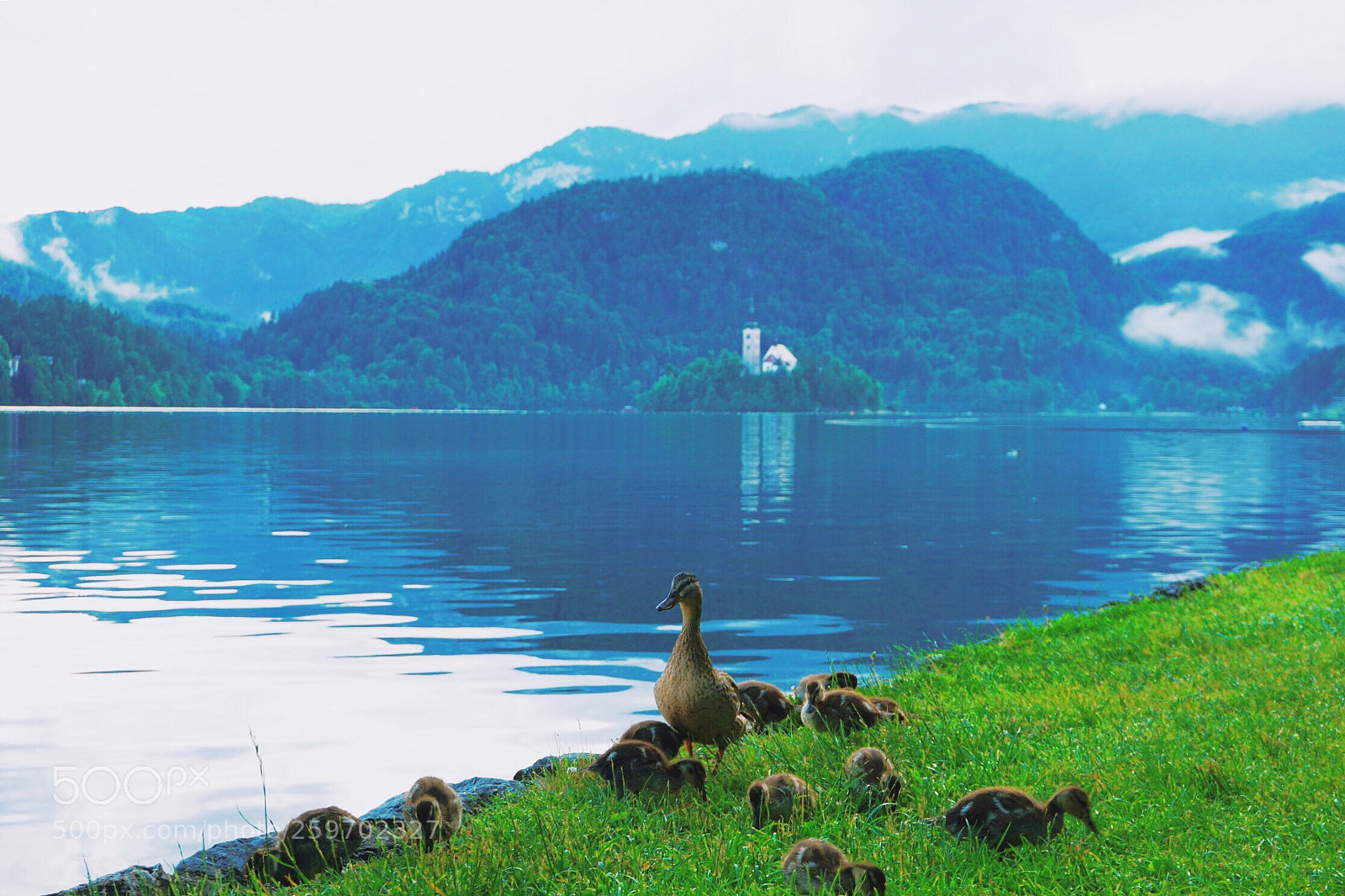 Sony a6000 sample photo. Lake bled photography