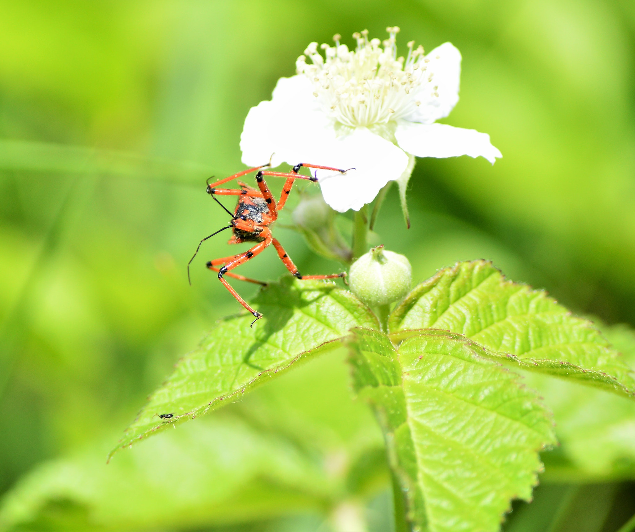 Nikon D3200 sample photo