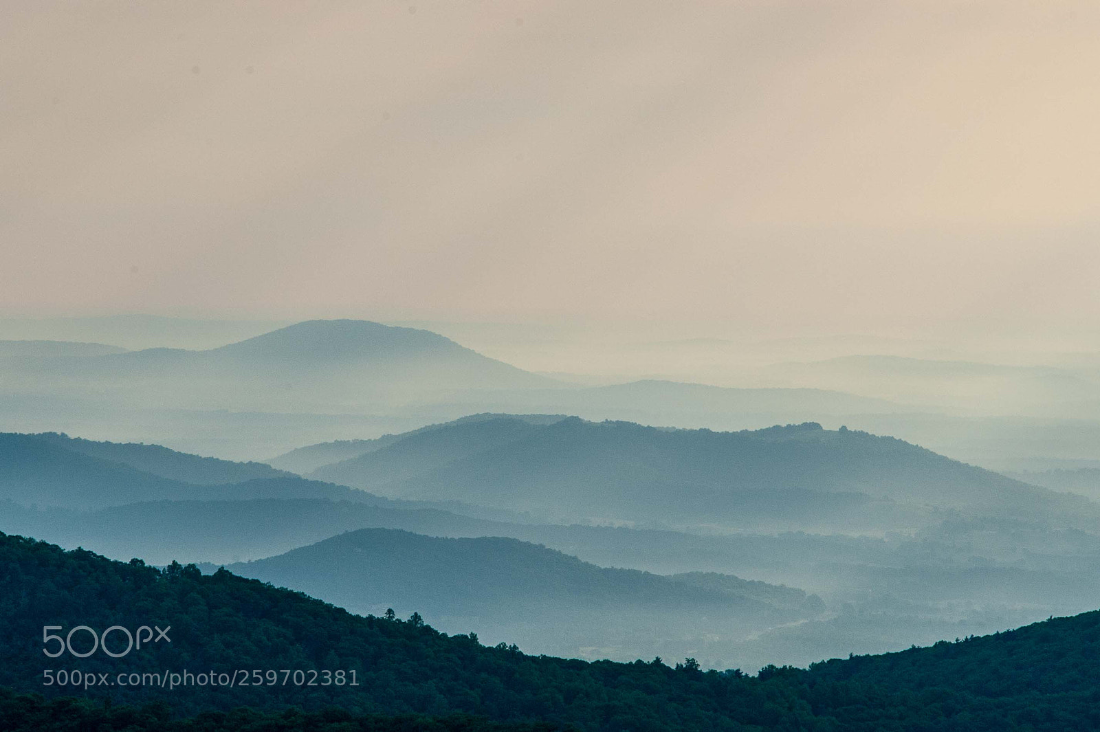 Nikon D700 sample photo. Mountain morning mist photography