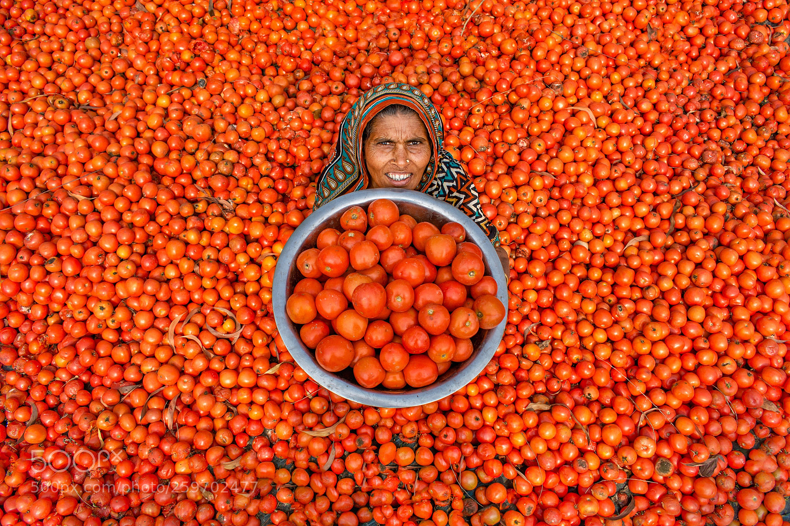 Nikon D7200 sample photo. For tomato lovers photography