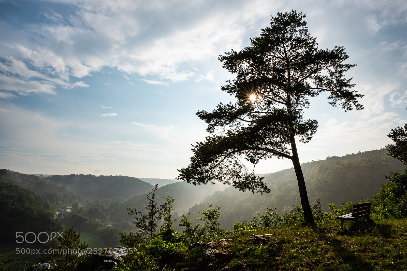 Nikon D750 sample photo. Labertal photography