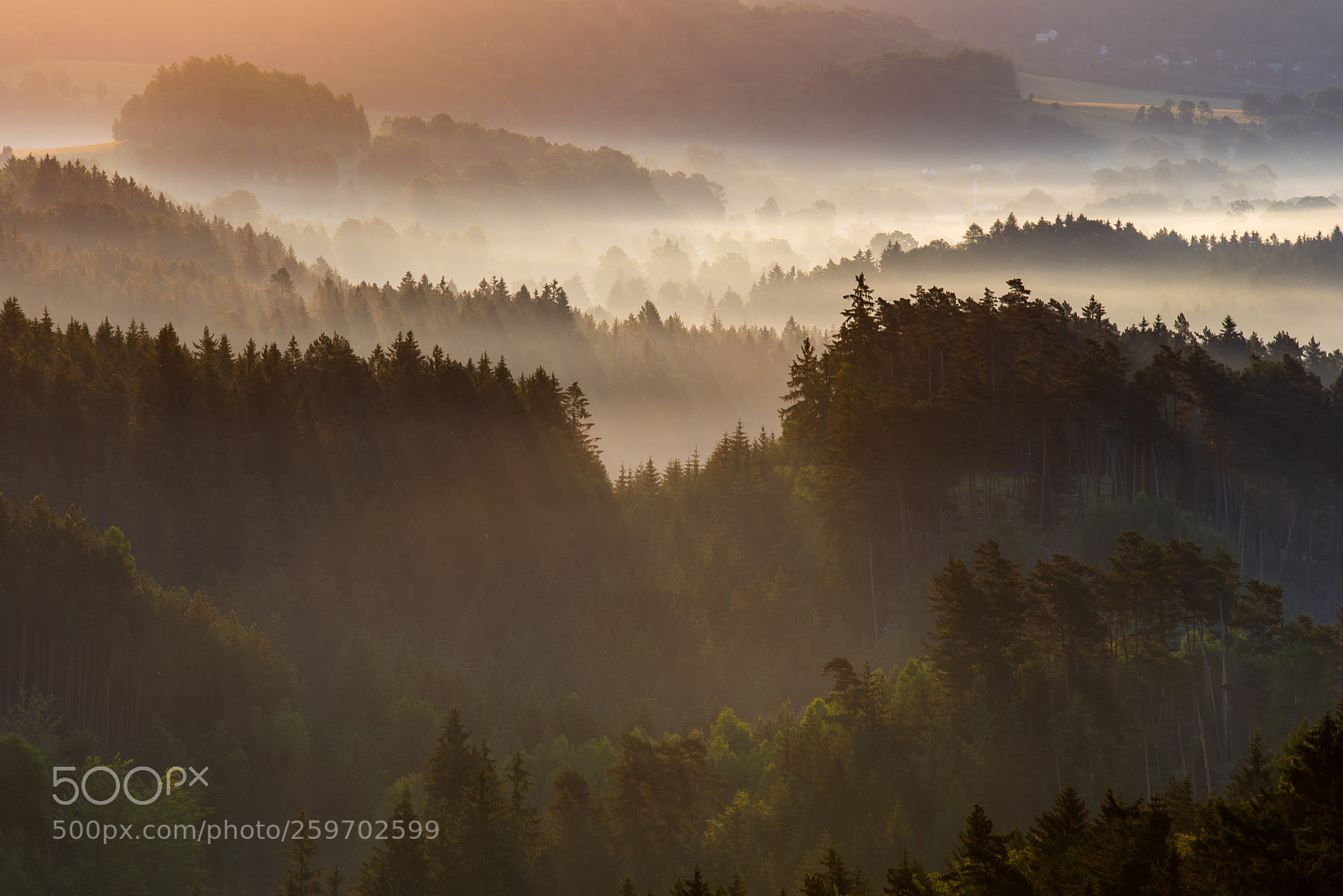 Nikon D750 sample photo. Misty morning photography