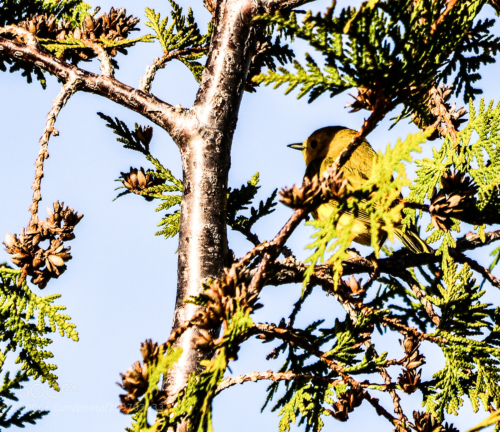 Nikon D3200 sample photo. Only a glimpse photography