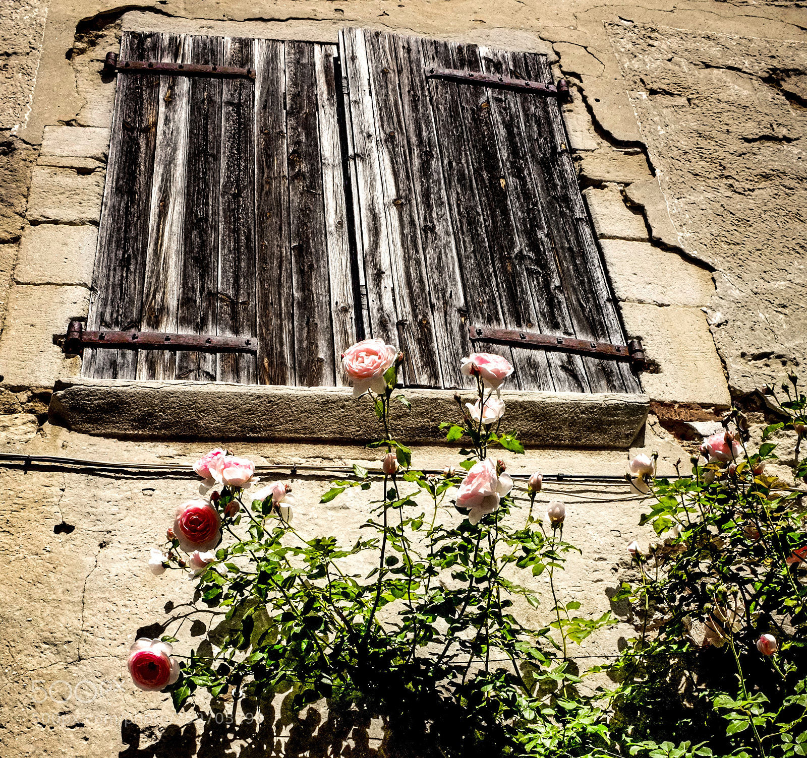 Fujifilm FinePix X100 sample photo. Battered shutters and fresh photography