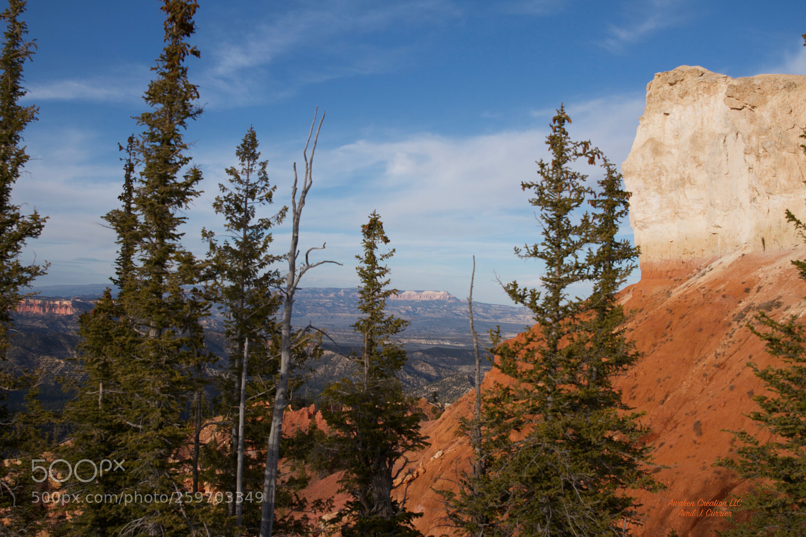 Canon EOS 7D sample photo. Through the trees photography