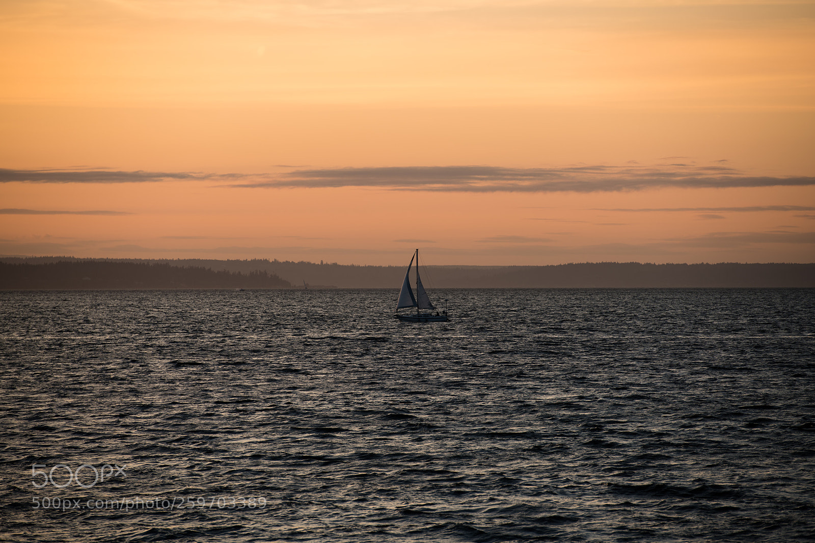 Nikon D850 sample photo. Untitled photography