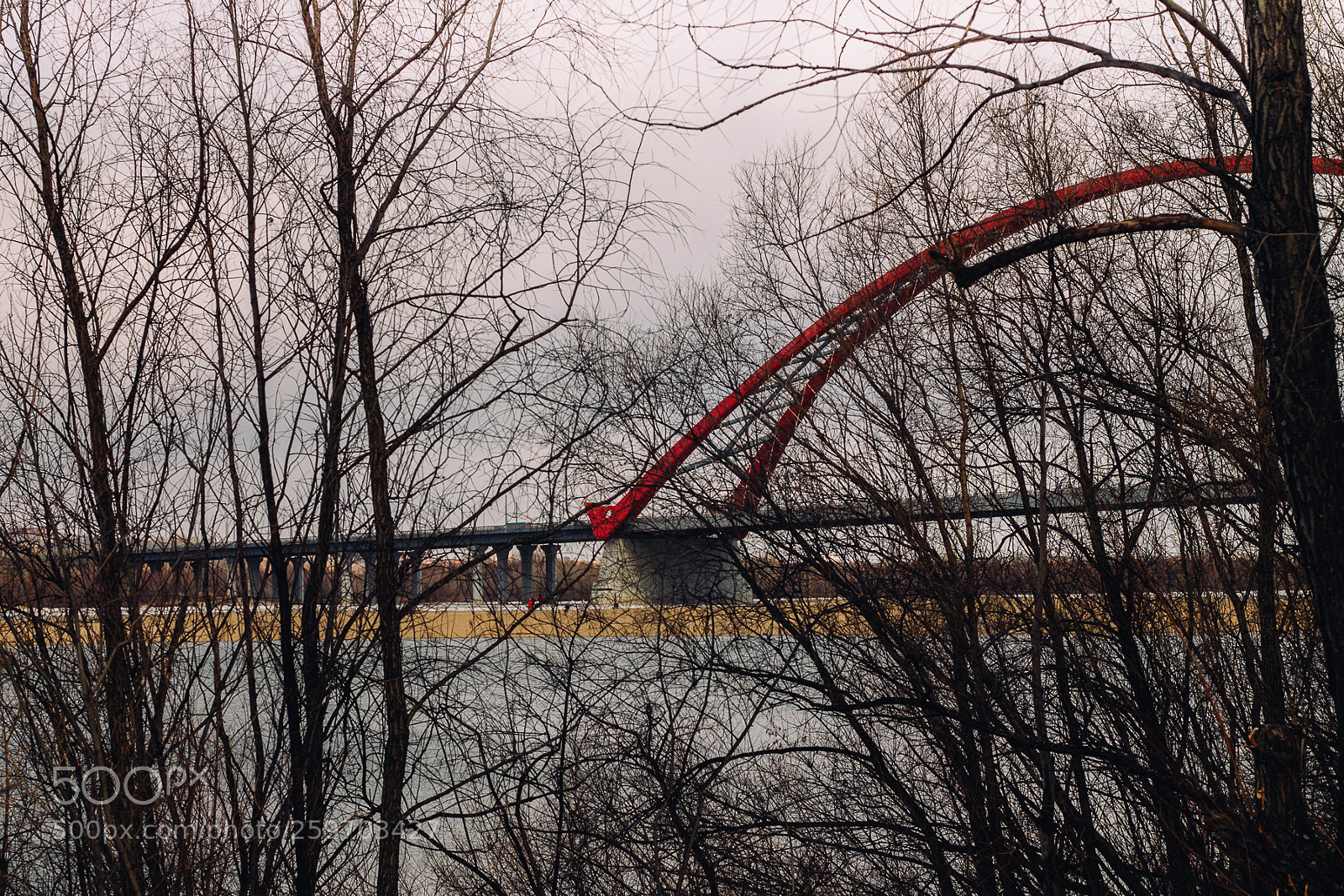 Canon EOS 1100D (EOS Rebel T3 / EOS Kiss X50) sample photo. Bridge photography