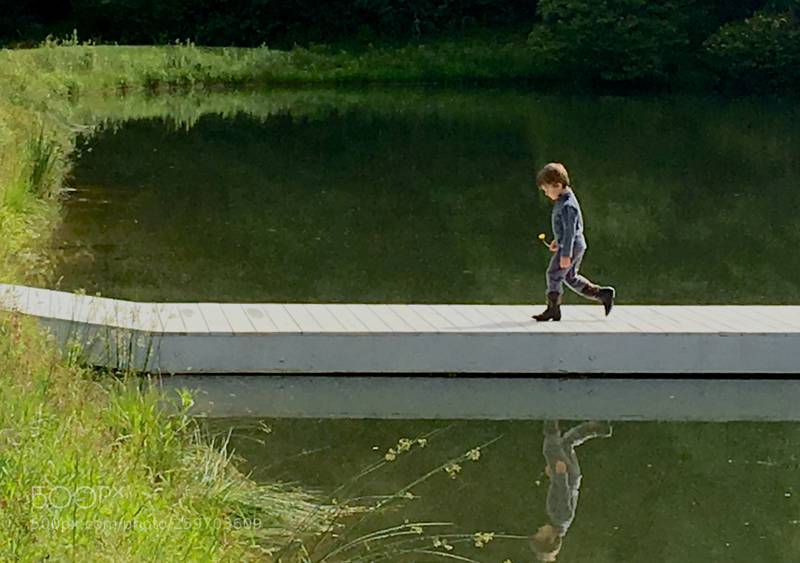 Apple iPhone 6s sample photo. Adventures around the pond photography