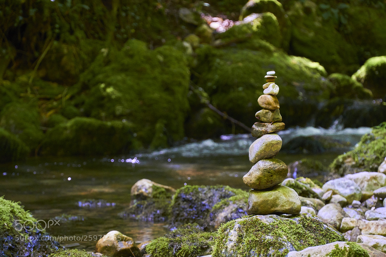 Sony a6500 sample photo. Zen on the stream photography