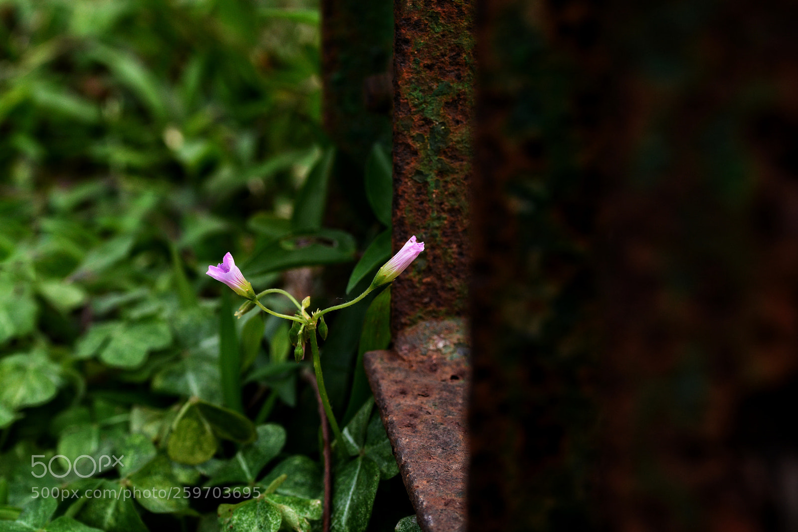 Nikon D7100 sample photo. Untitled photography