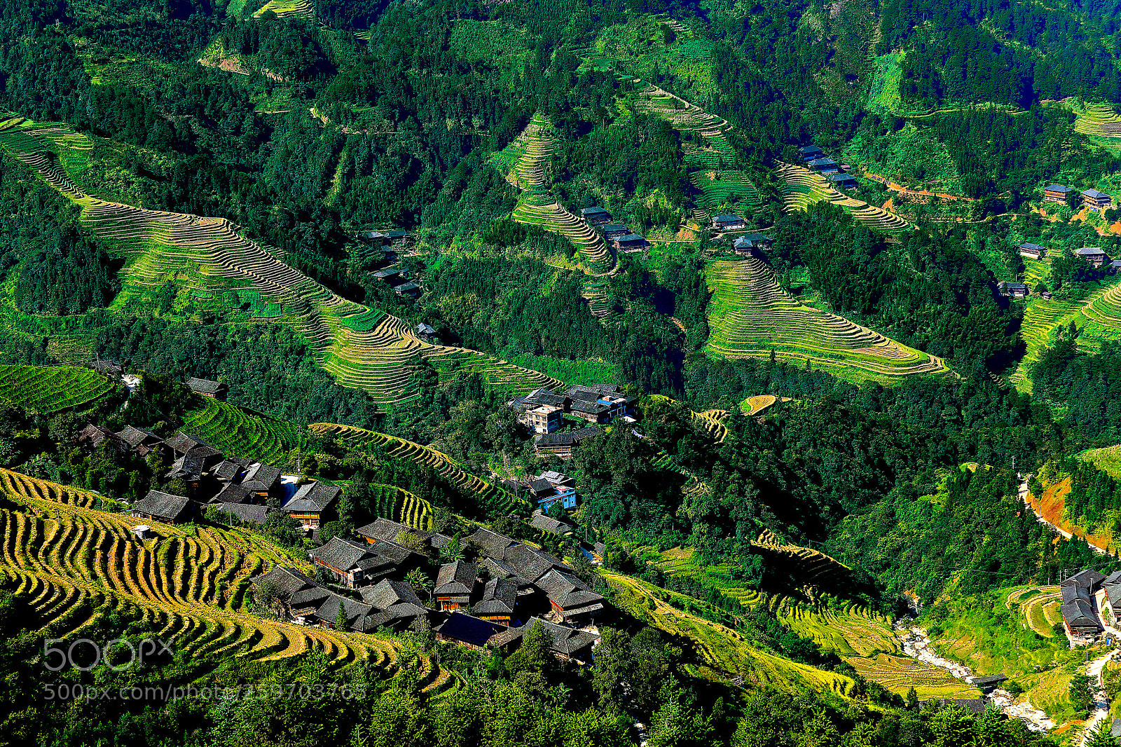 Canon EOS 5D Mark IV sample photo. Longsheng terrace, guangxi photography