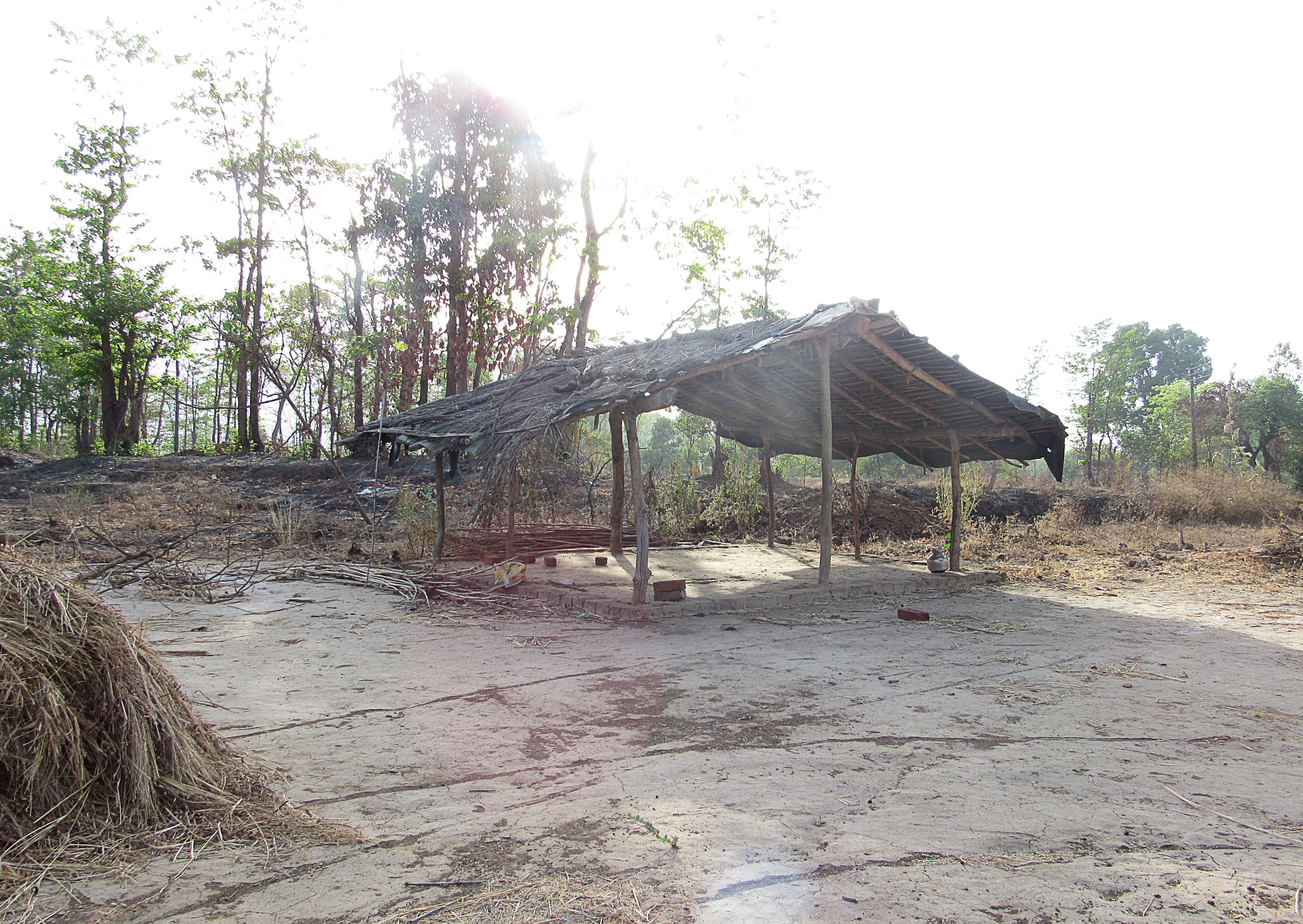 Canon PowerShot SX520 HS sample photo. Img photography