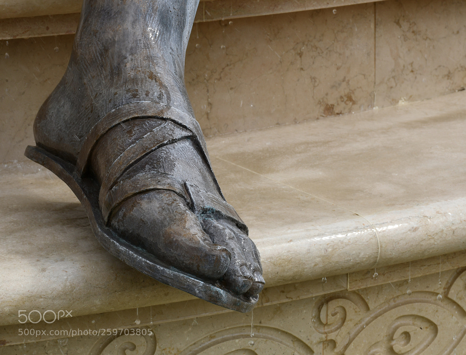 Nikon D7500 sample photo. Untitled photography
