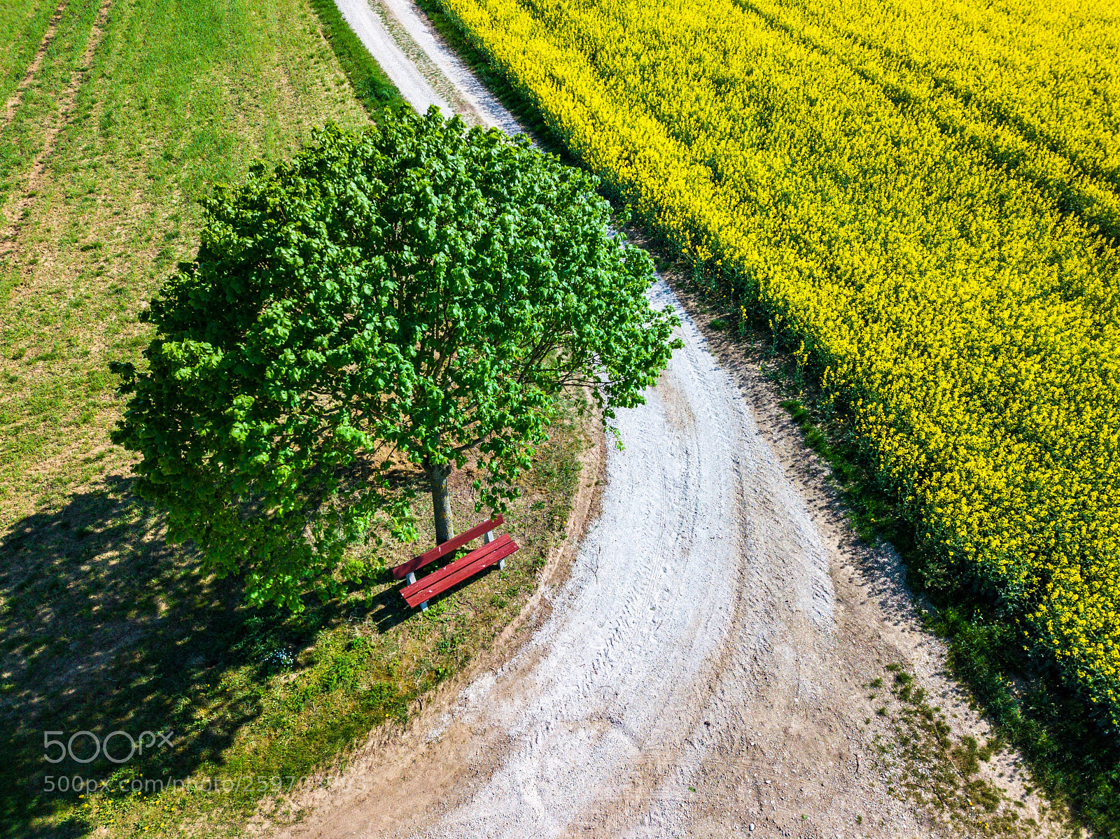 DJI FC220 sample photo. Untitled photography
