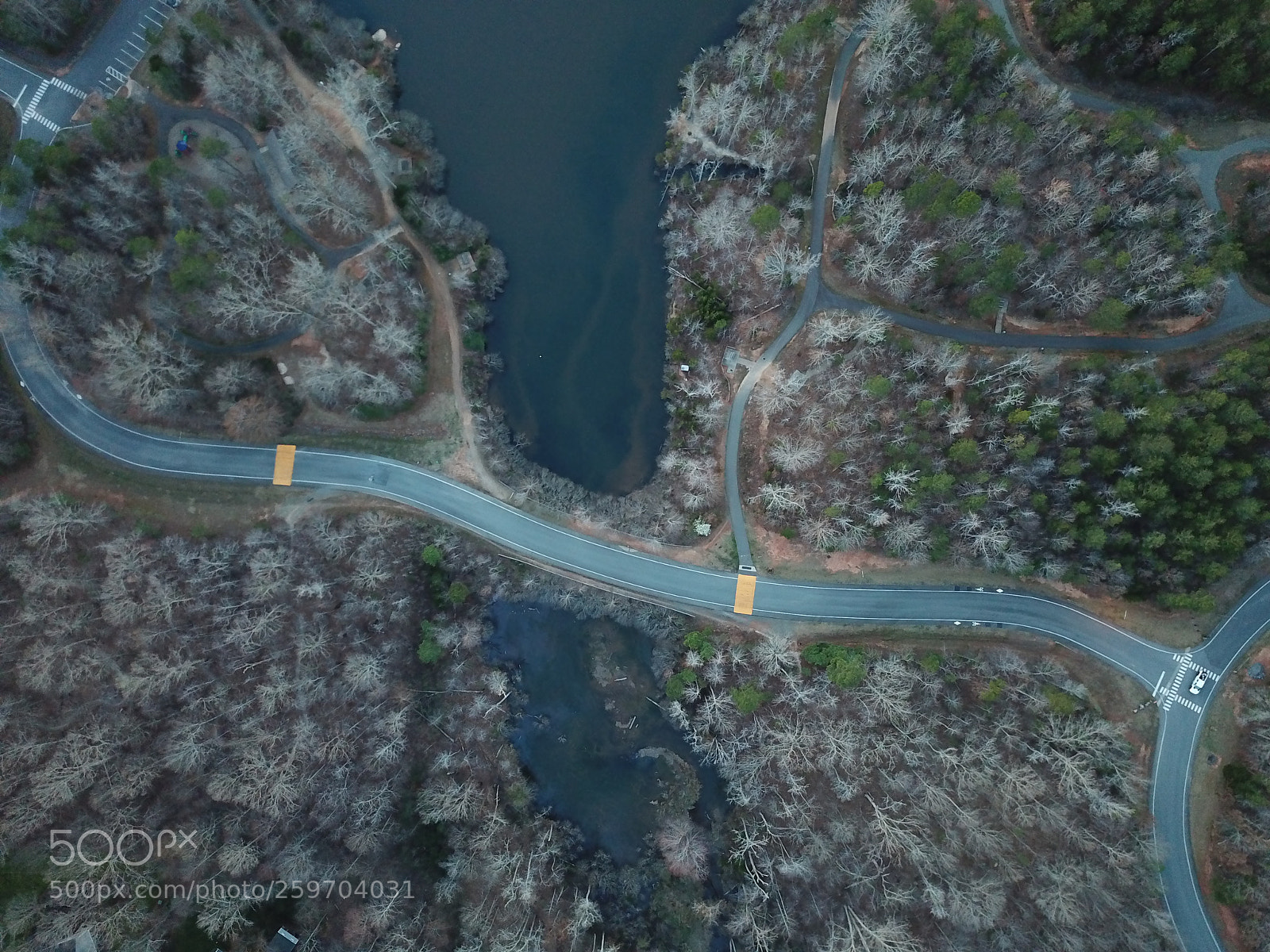 DJI FC220 sample photo. Aerial park photography