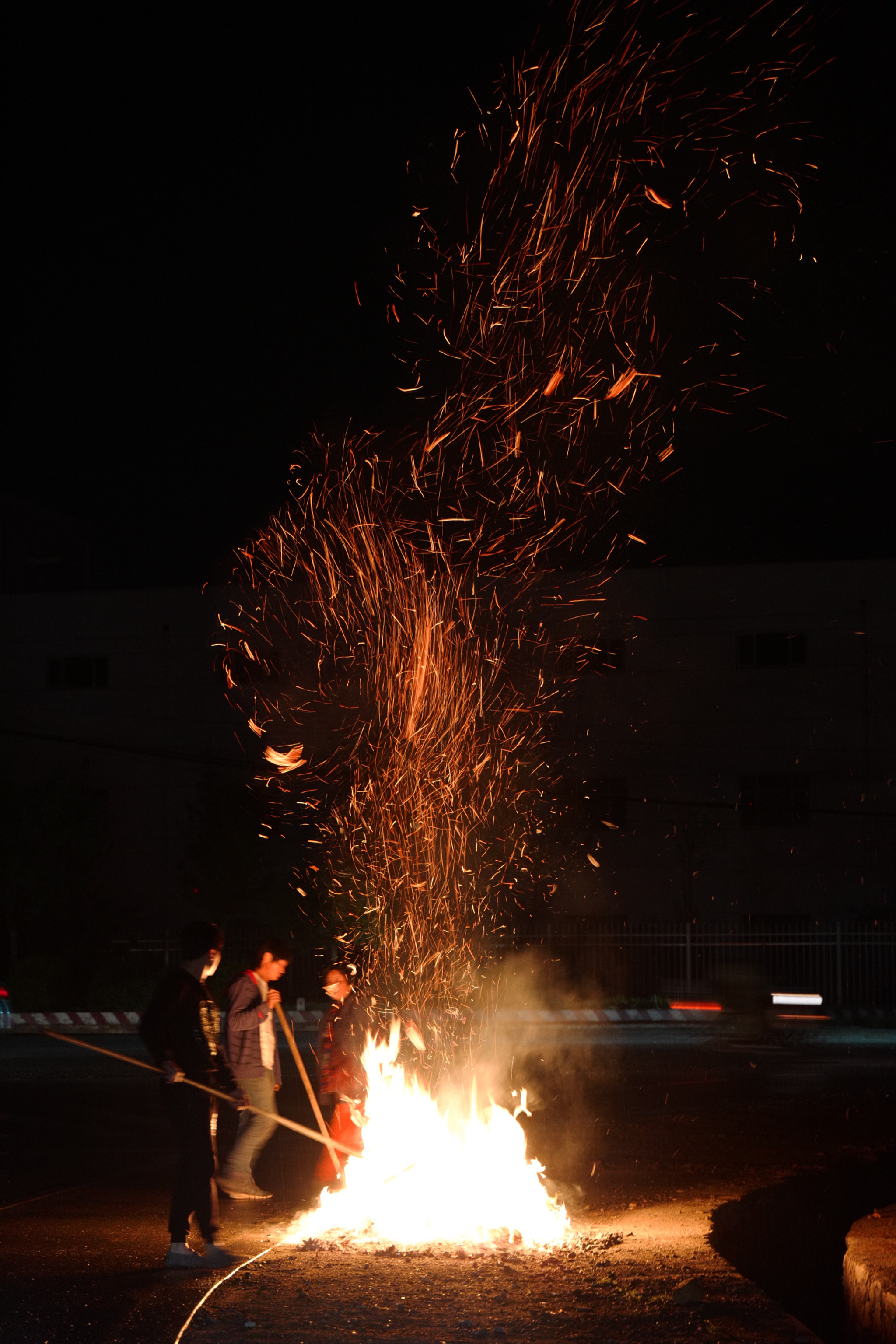 Leica SL (Typ 601) sample photo. Flames photography