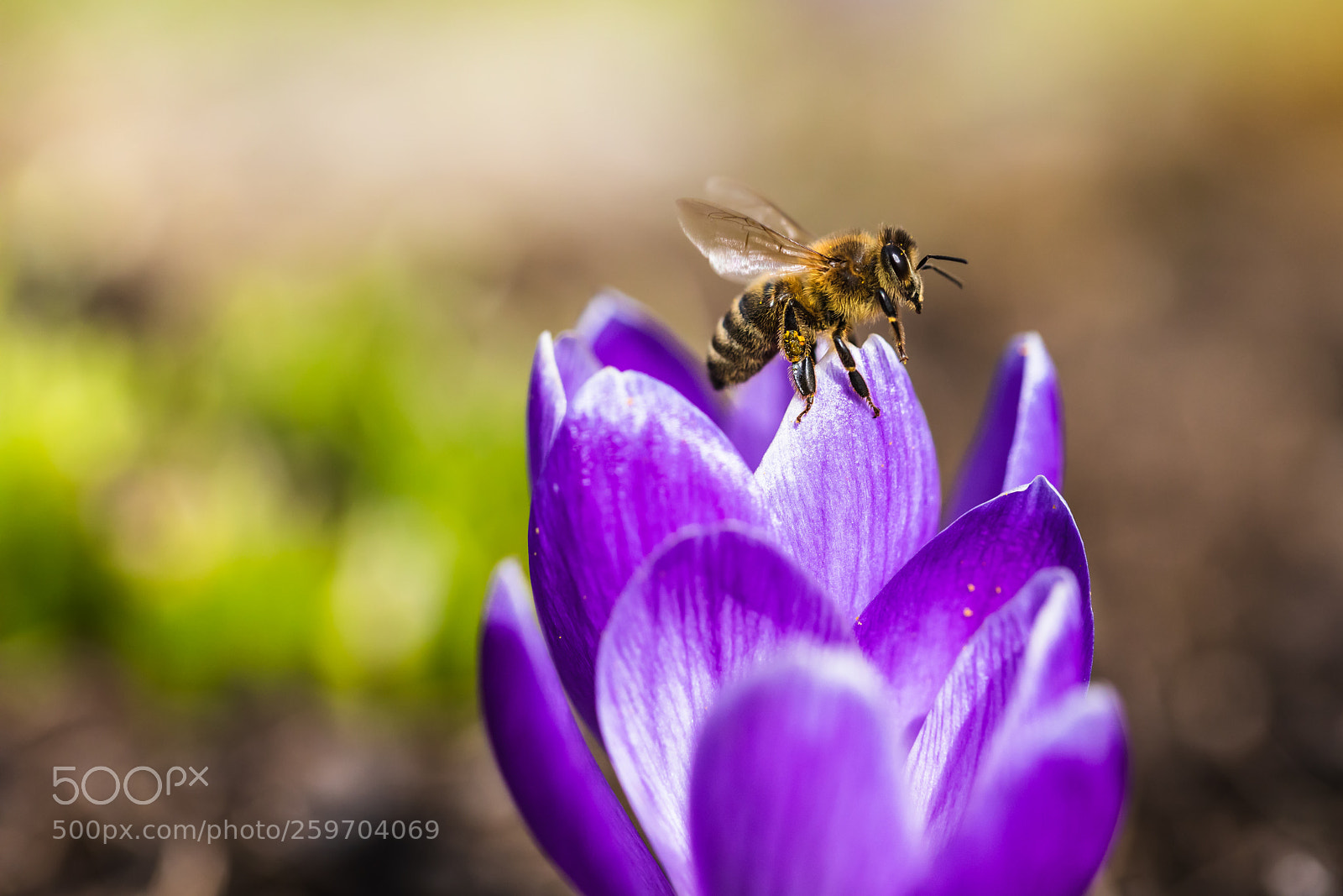 Canon EOS 5D Mark IV sample photo. Ready for take off photography