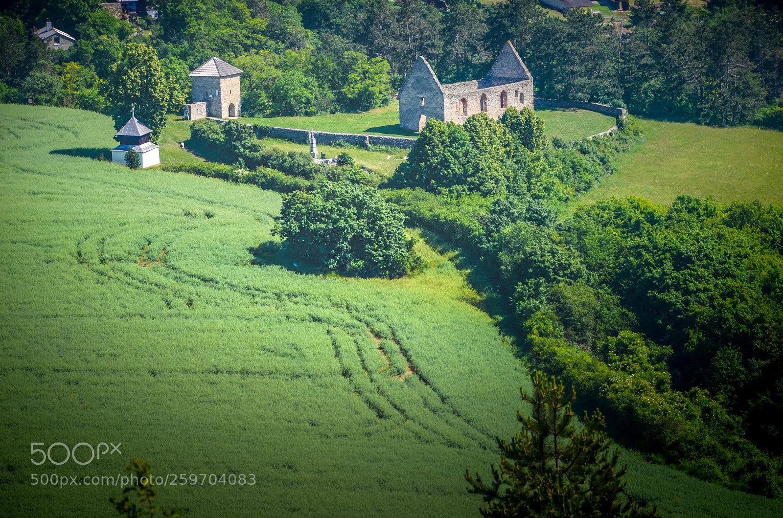 Nikon D5100 sample photo. View from above the photography