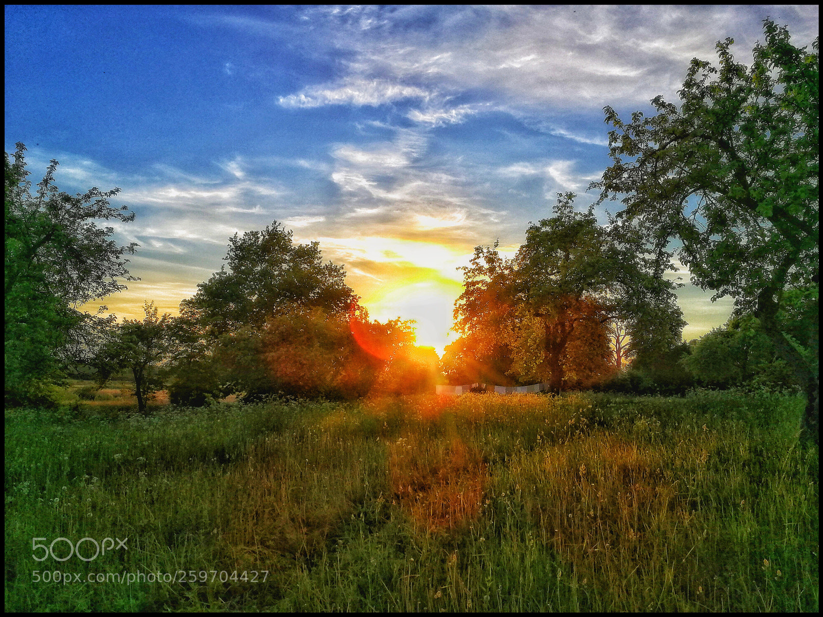 HUAWEI P10 sample photo. Sunset at countryside  photography