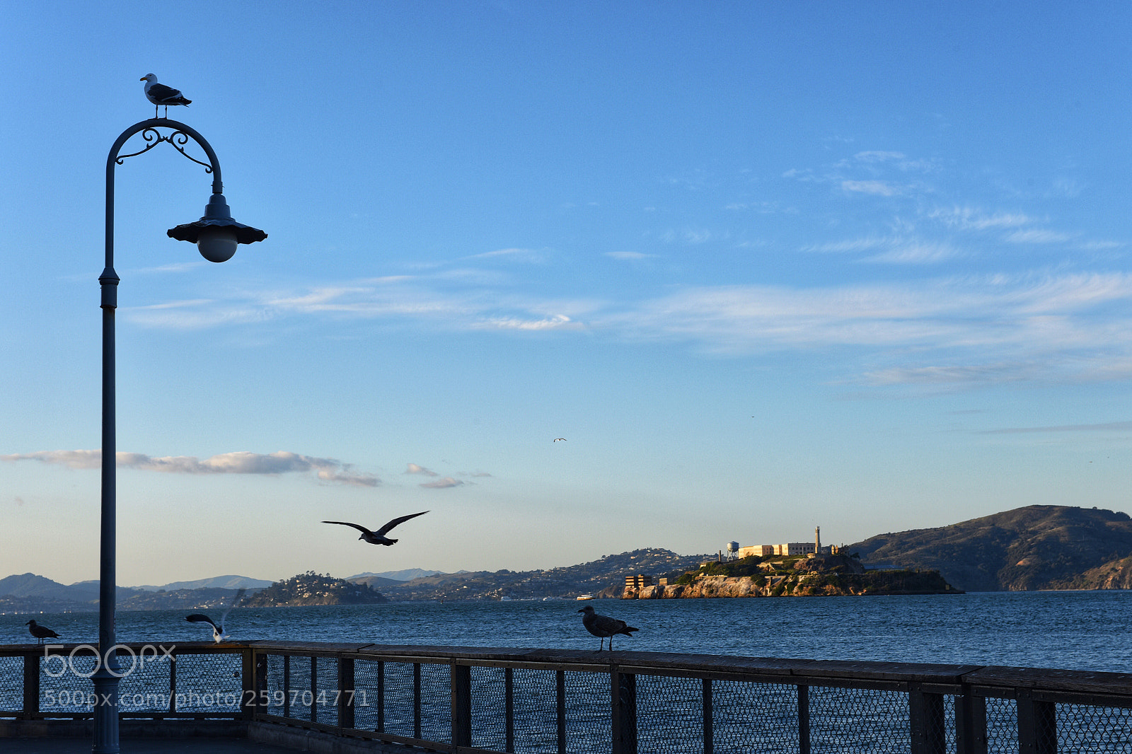 Nikon D810 sample photo. Untitled photography