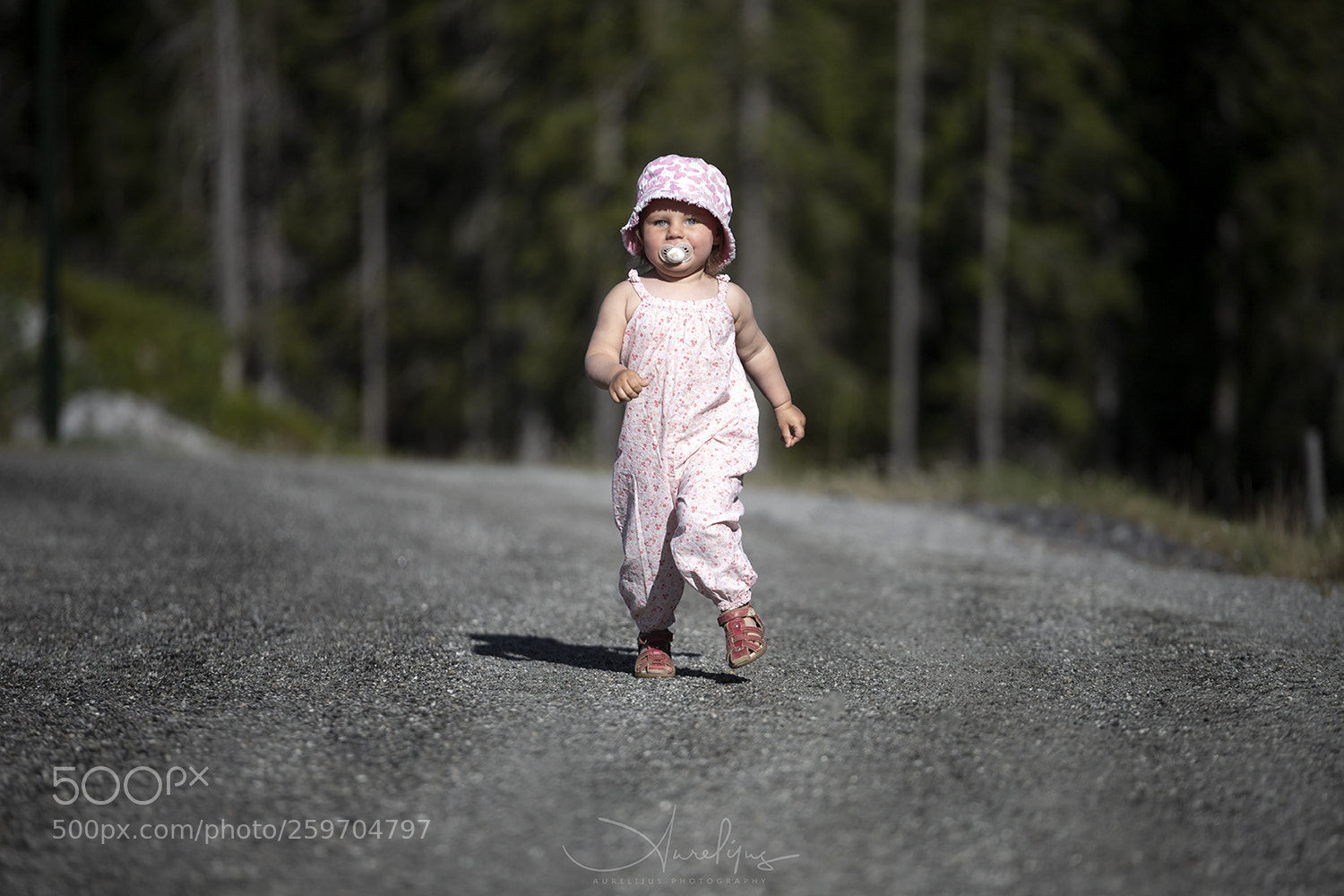 Canon EOS 6D Mark II sample photo. Img photography