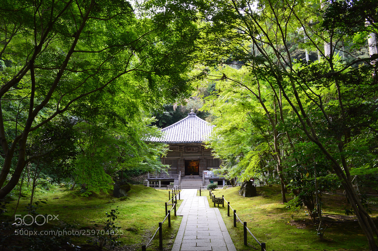 Nikon D3200 sample photo. Entsu-in matsushima photography