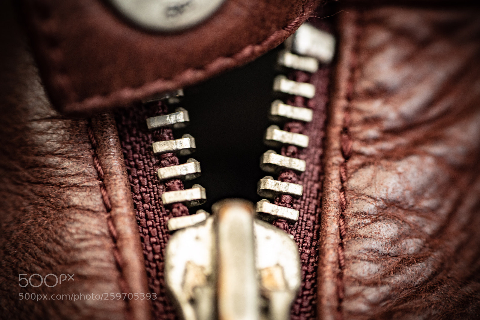 Nikon D500 sample photo. Untitled photography