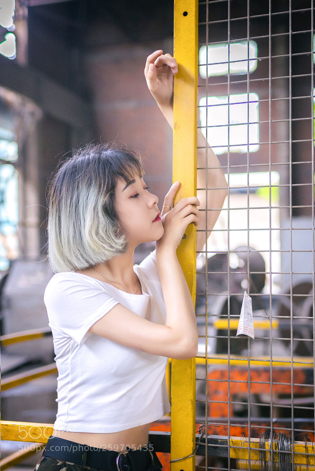 Canon EOS 6D Mark II sample photo. Untitled photography