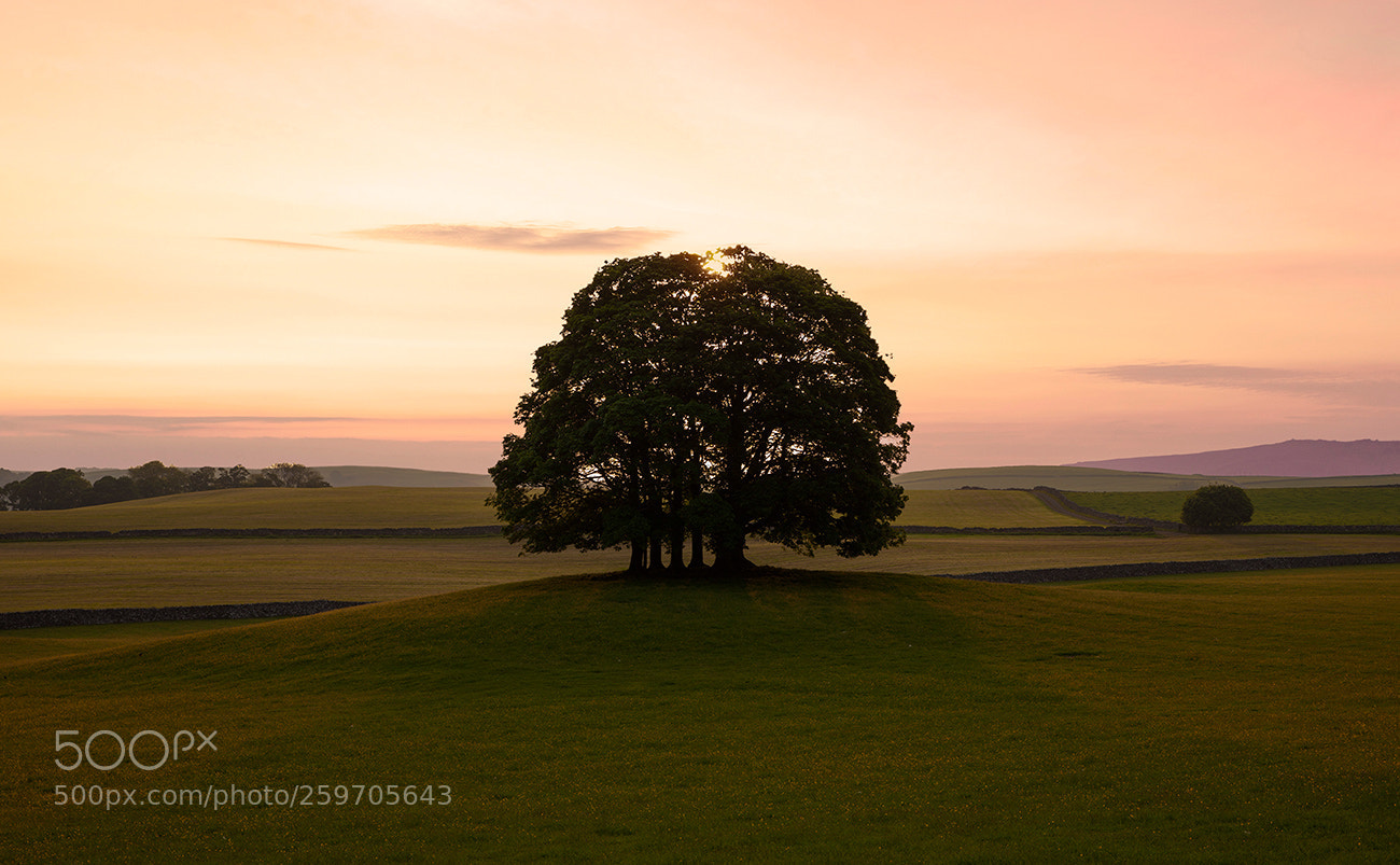 Canon EOS 5D Mark II sample photo. Morning light near malham photography