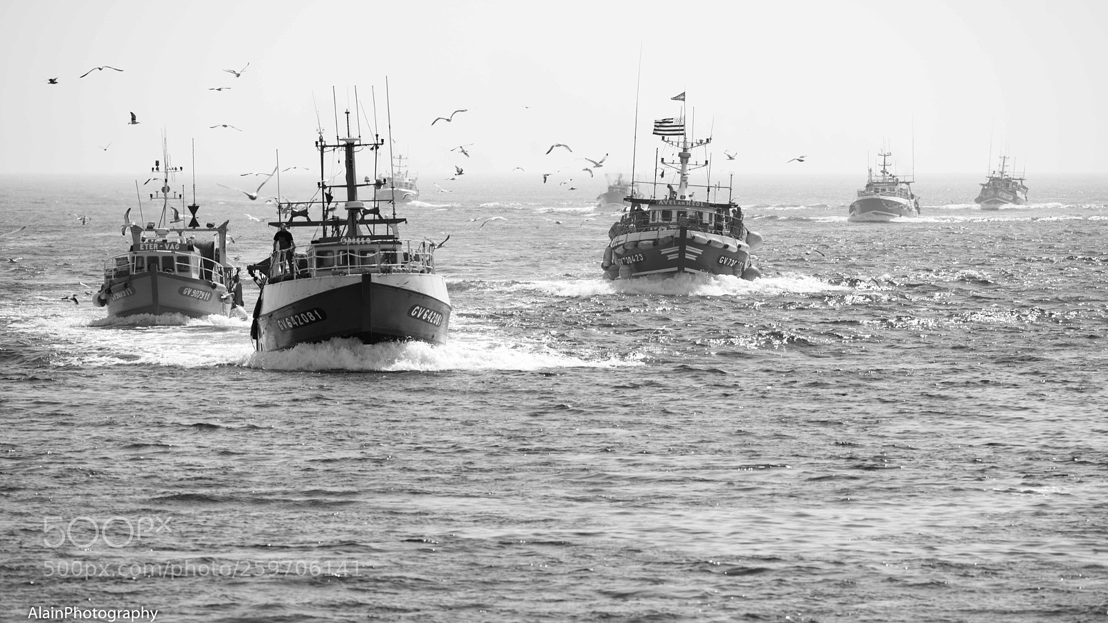 Nikon D800 sample photo. Return of fishing photography