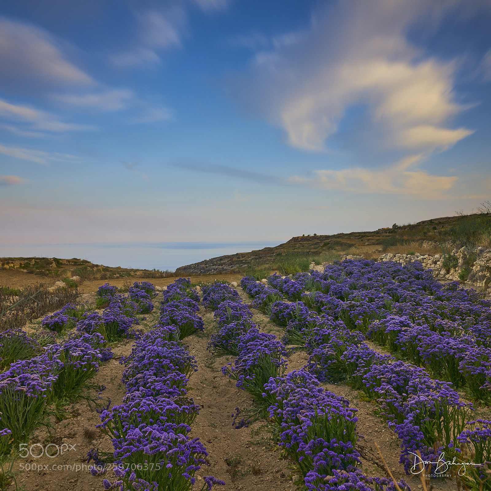 Sony a7R II sample photo. Dwejra photography