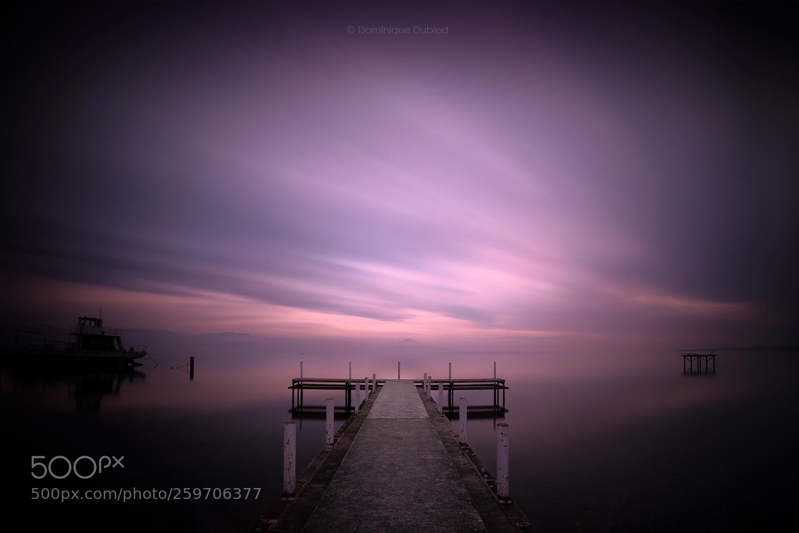 Canon EOS 5D Mark IV sample photo. Dreaming in purple photography
