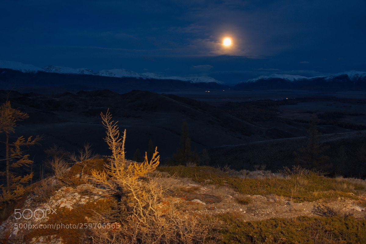 Nikon D750 sample photo. Russia. moonlight night in photography