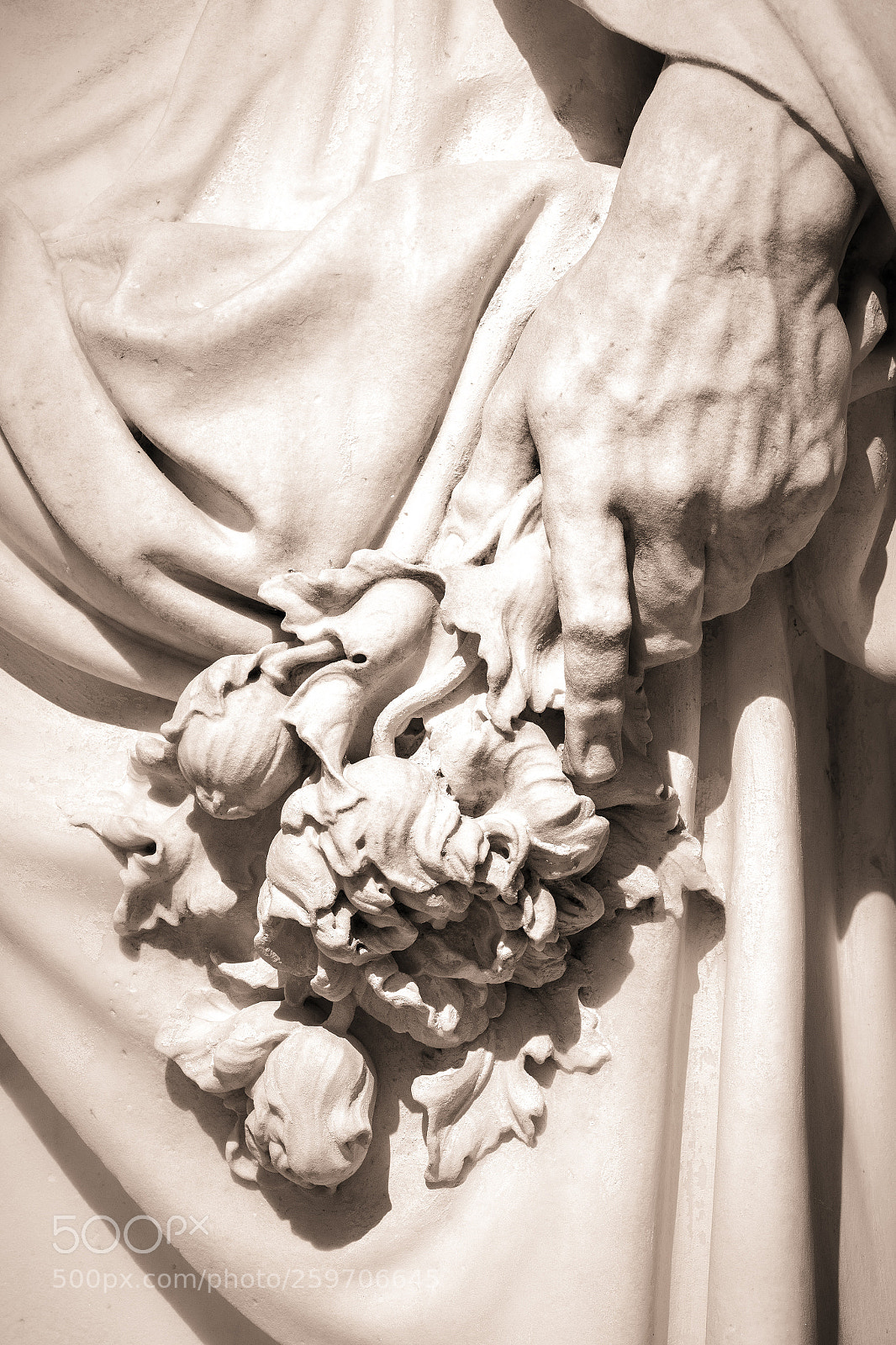 Nikon D500 sample photo. Le bouquet photography