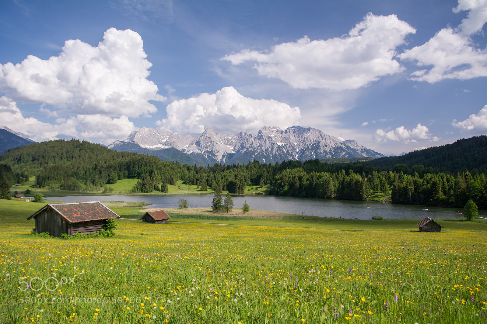 Nikon D7100 sample photo. Bavarian field photography