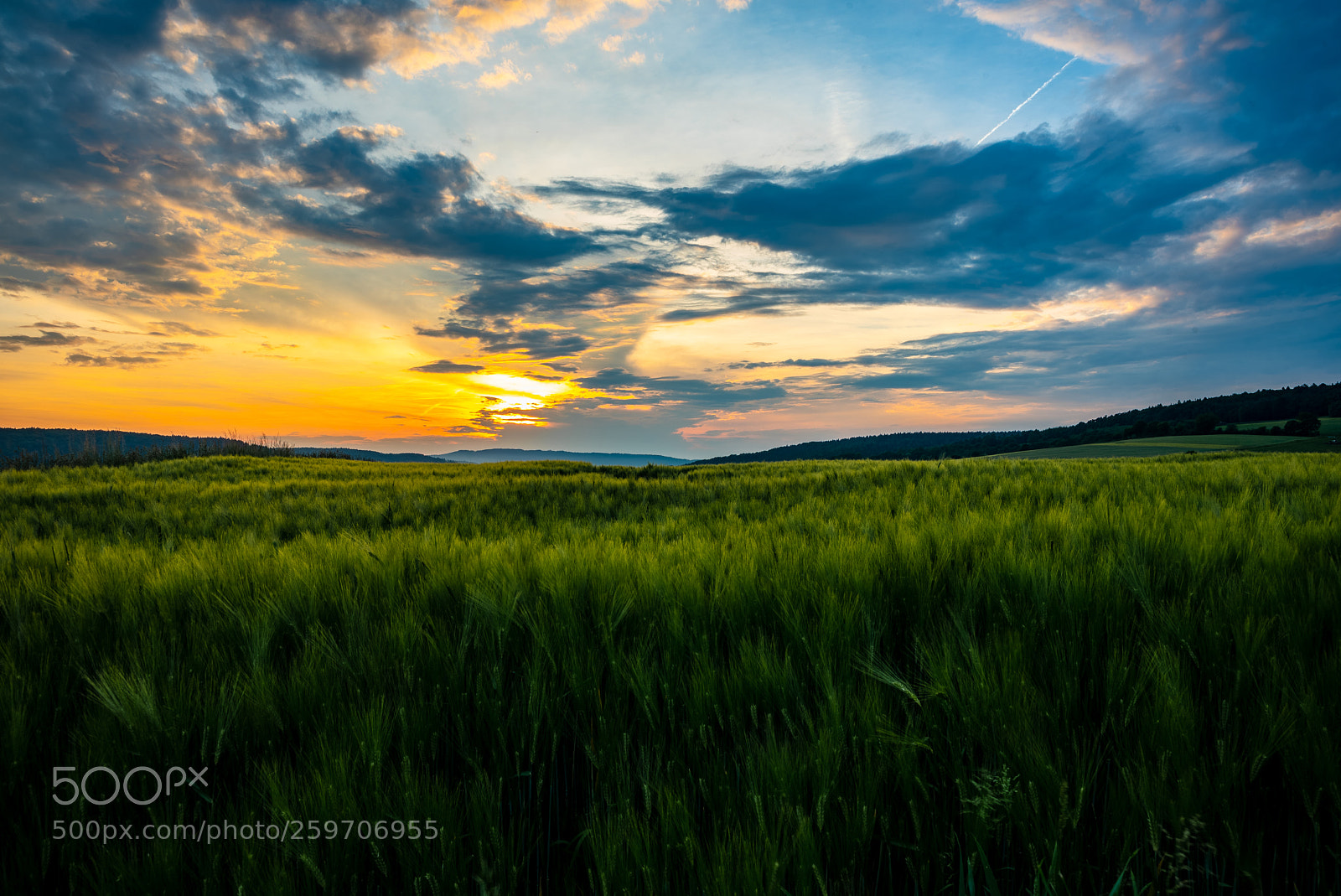 Nikon D750 sample photo. Sunset over grain photography