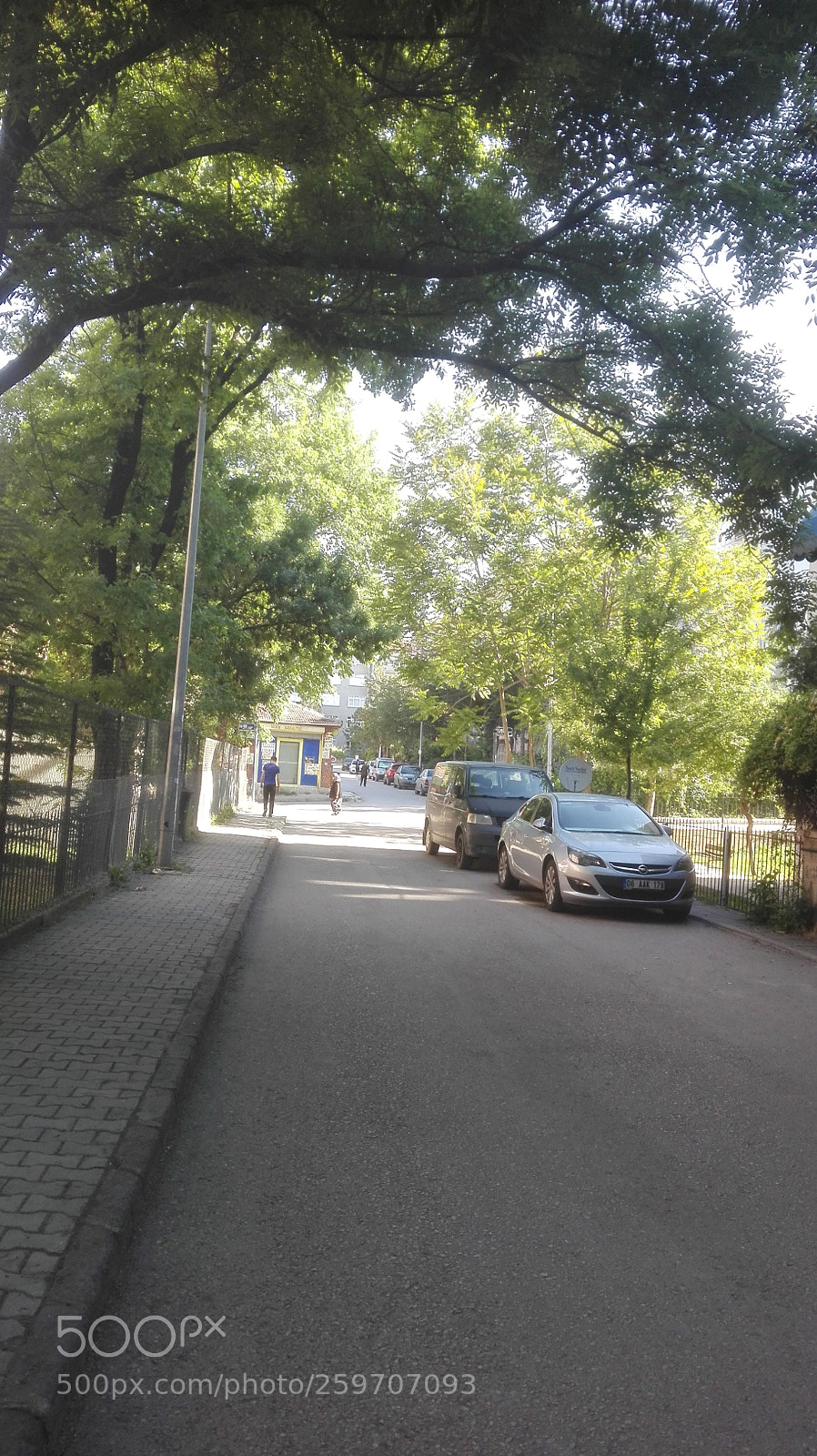HUAWEI P8 Lite sample photo. ' it's my way ' photography