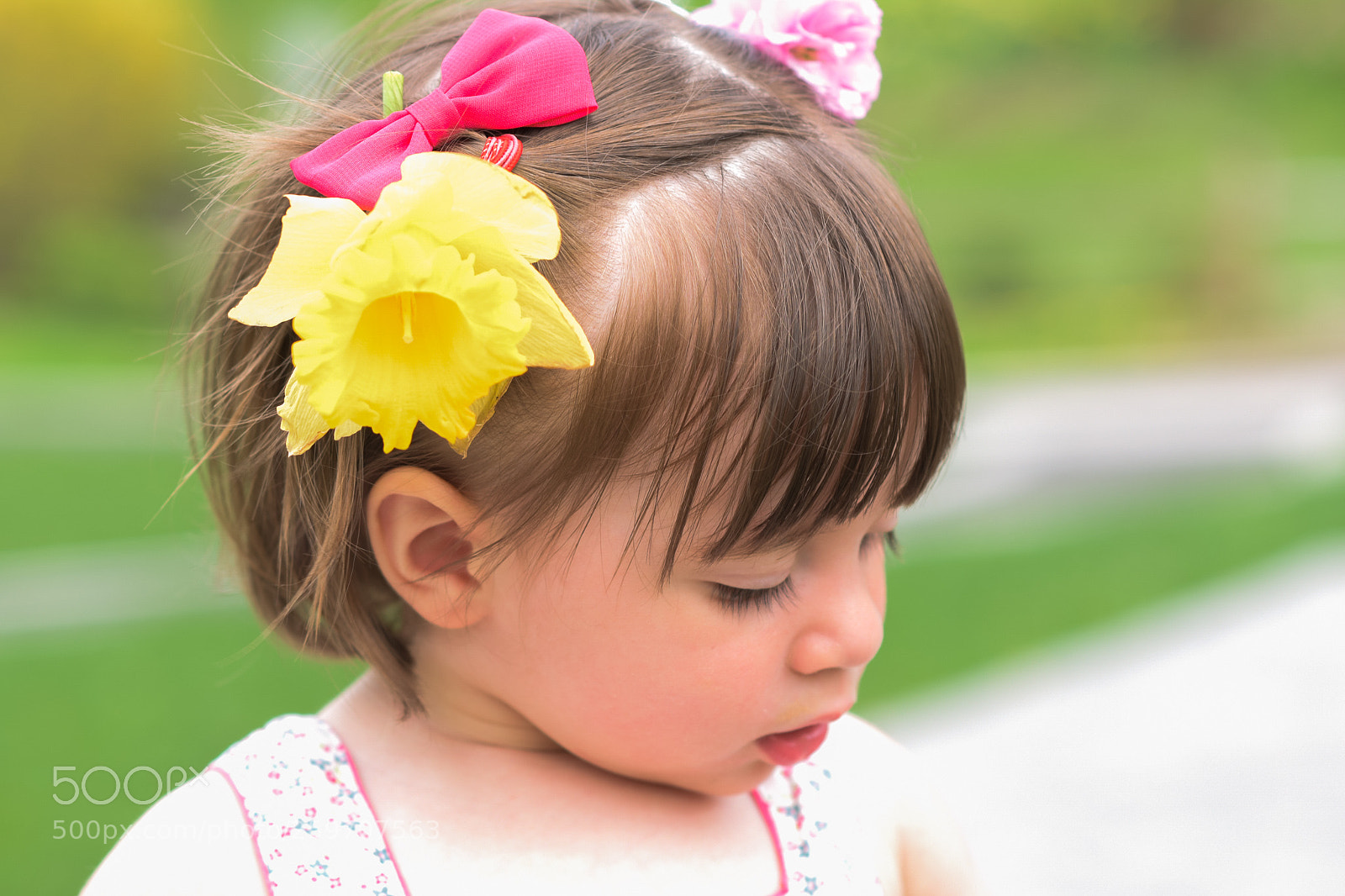 Nikon D810 sample photo. Dsc photography
