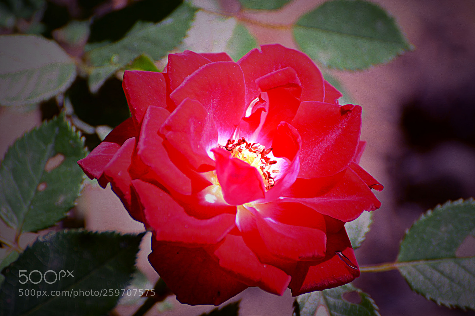 Nikon D7100 sample photo. Untitled photography