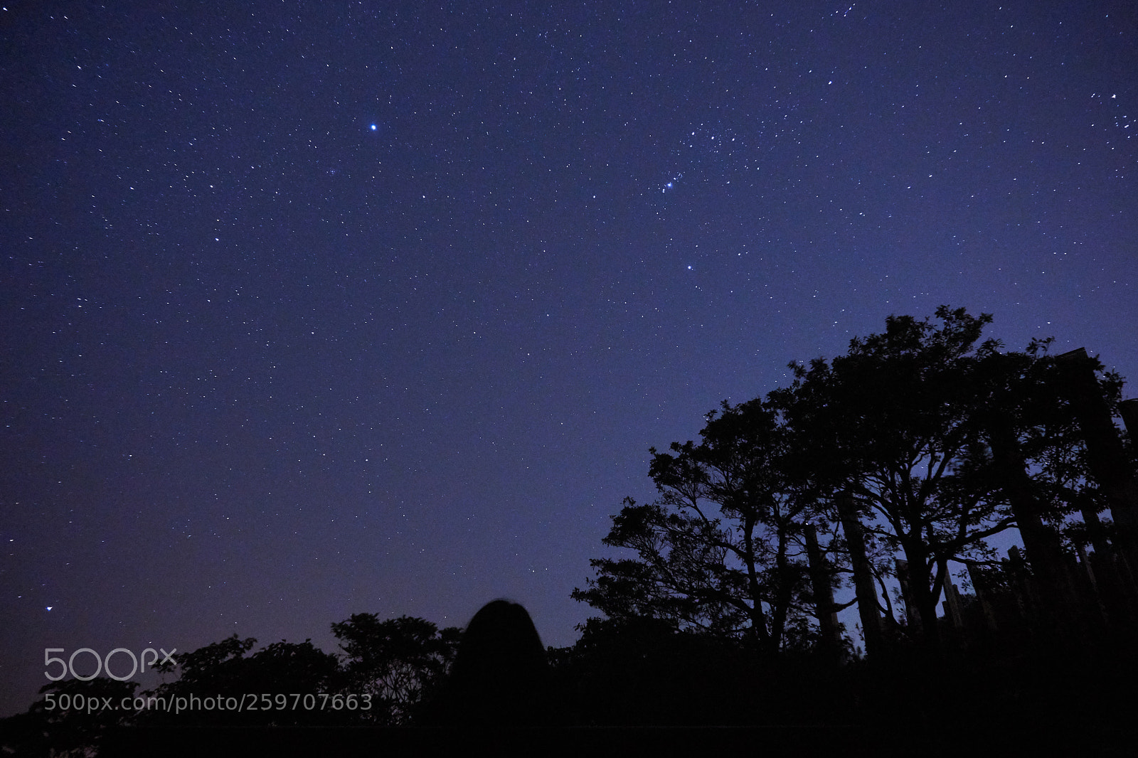 Sony a6000 sample photo. Counting stars photography