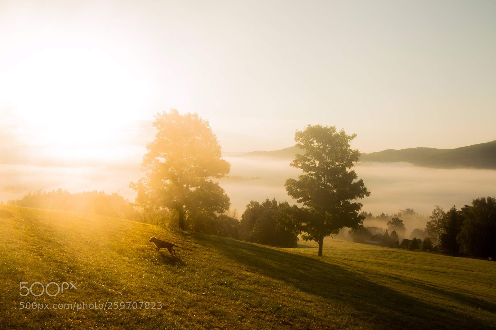 Nikon D3200 sample photo. Calm foggy morninr photography