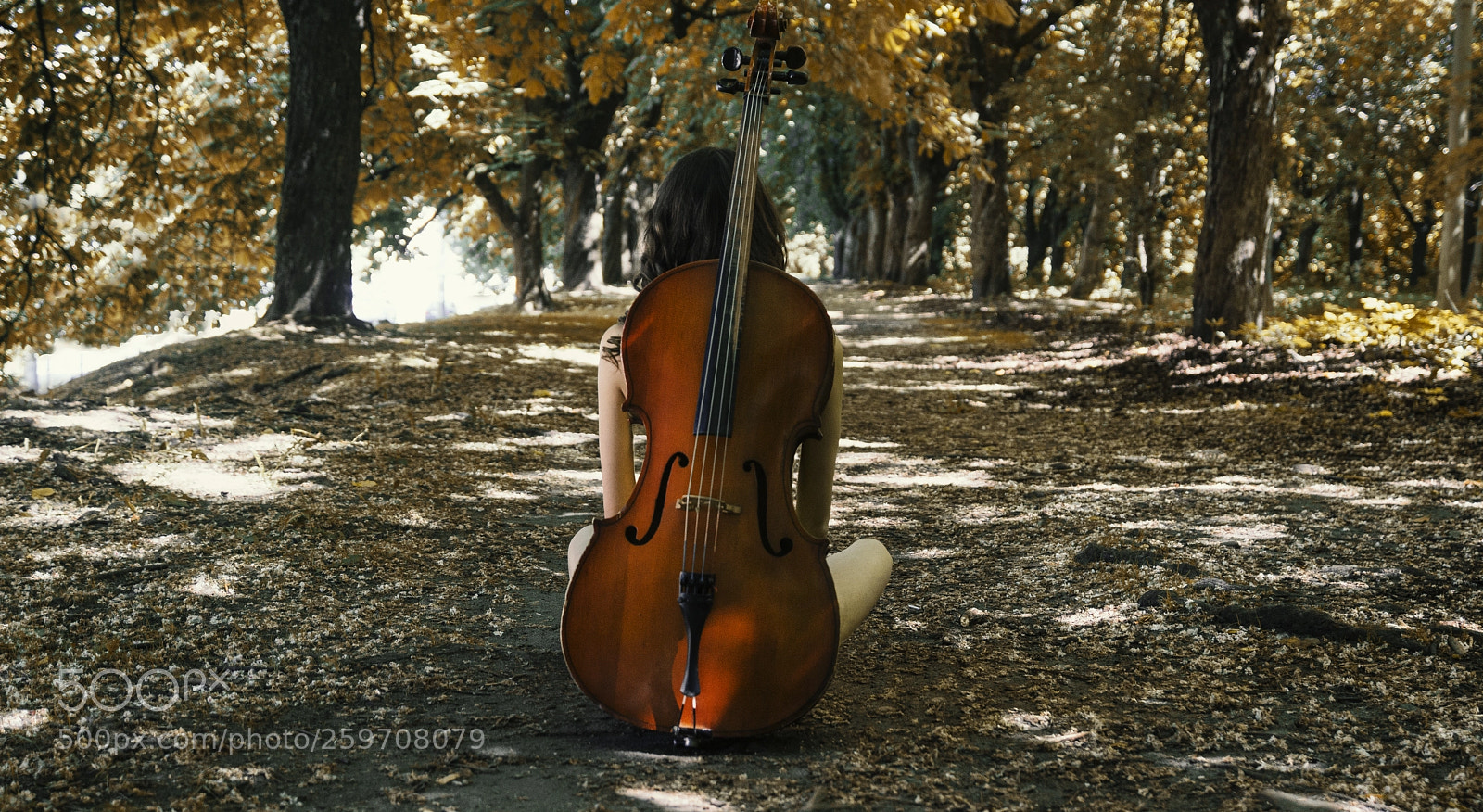 Sony SLT-A77 sample photo. Одно музыкальное photography
