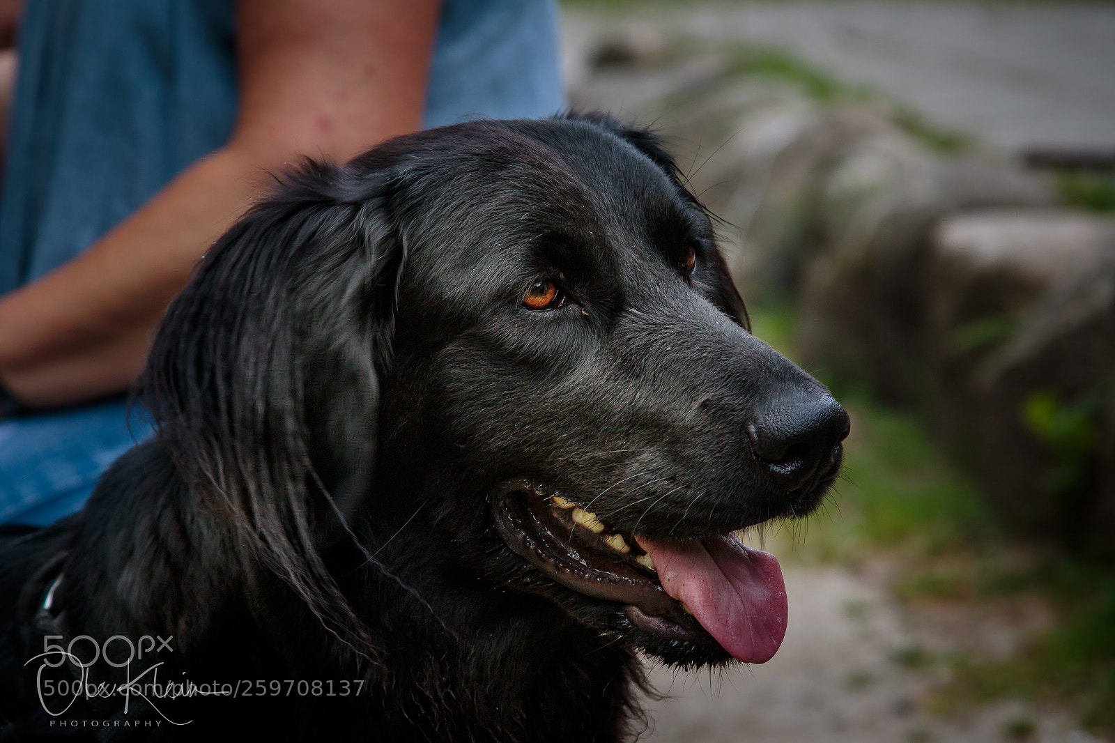 Canon EOS 7D Mark II sample photo. Saga photography
