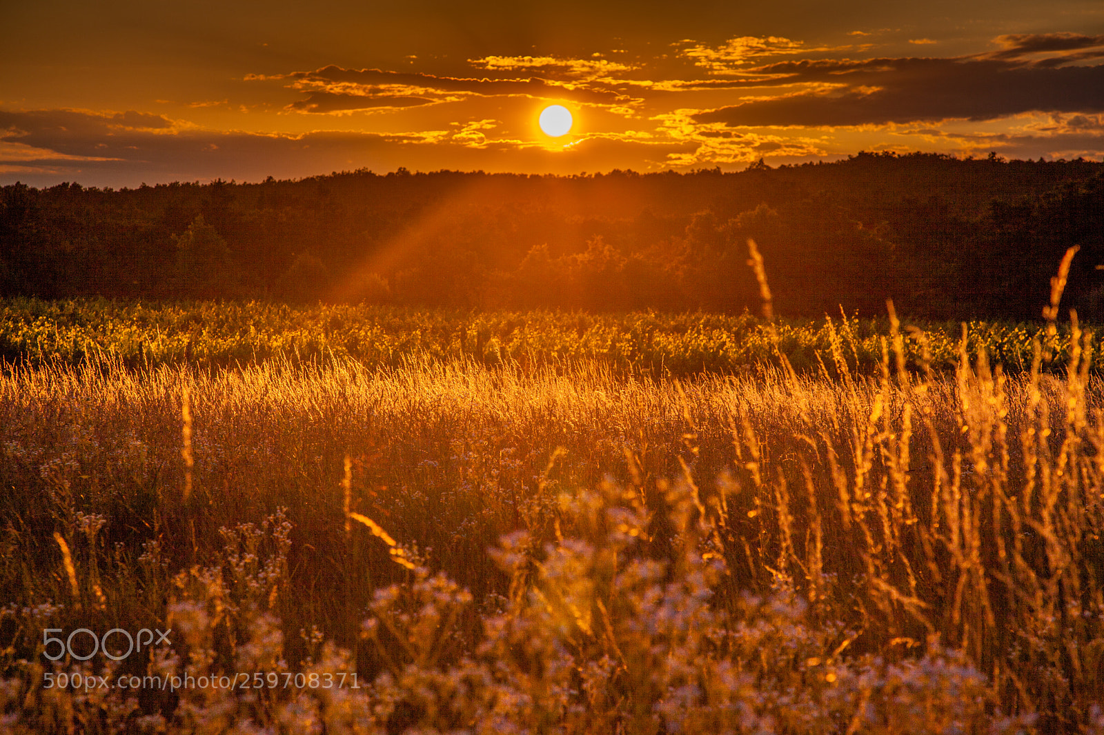Canon EOS 5D Mark II sample photo. Sunrise photography