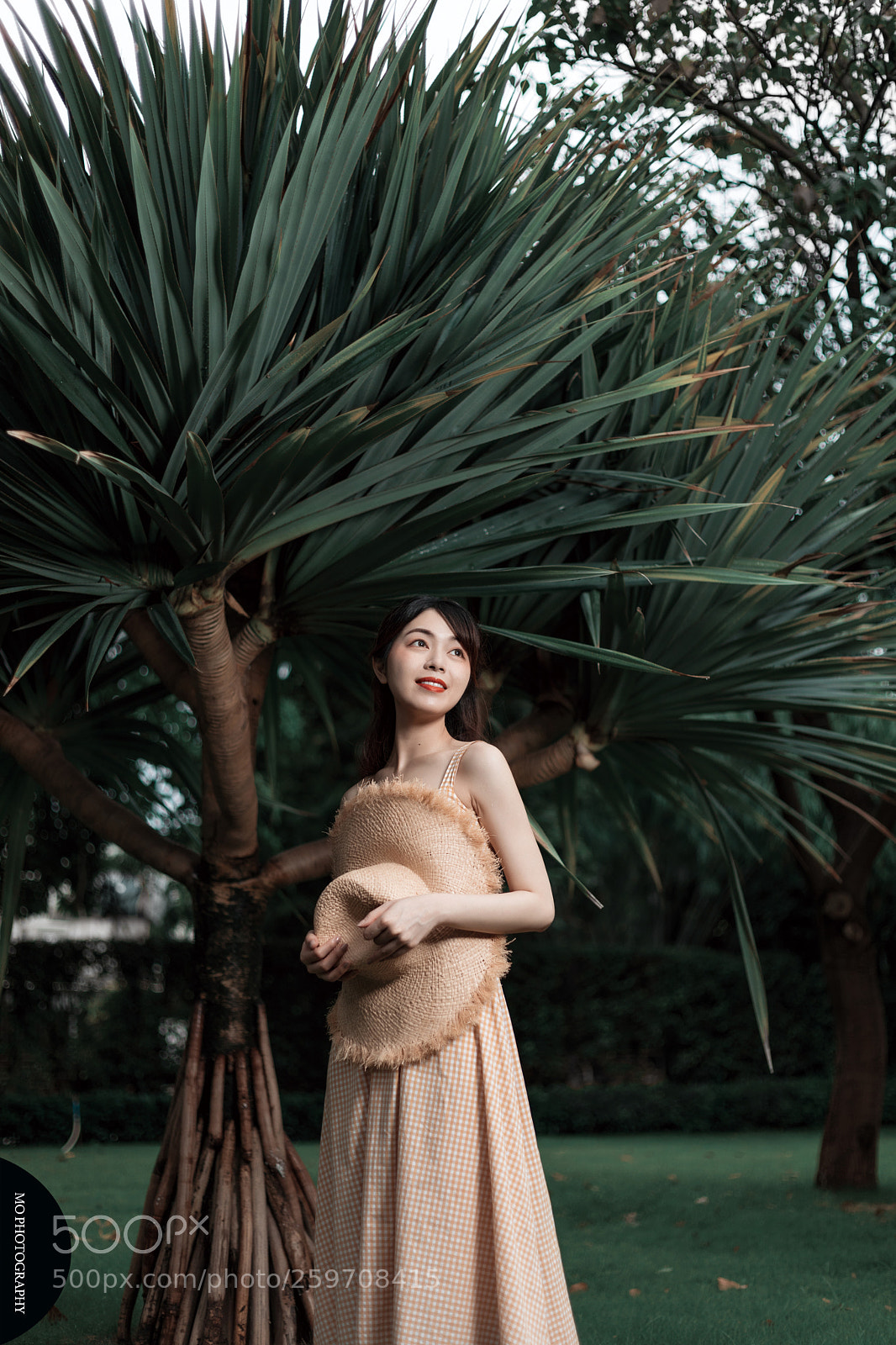 Canon EOS 5D Mark IV sample photo. Today work nice light photography