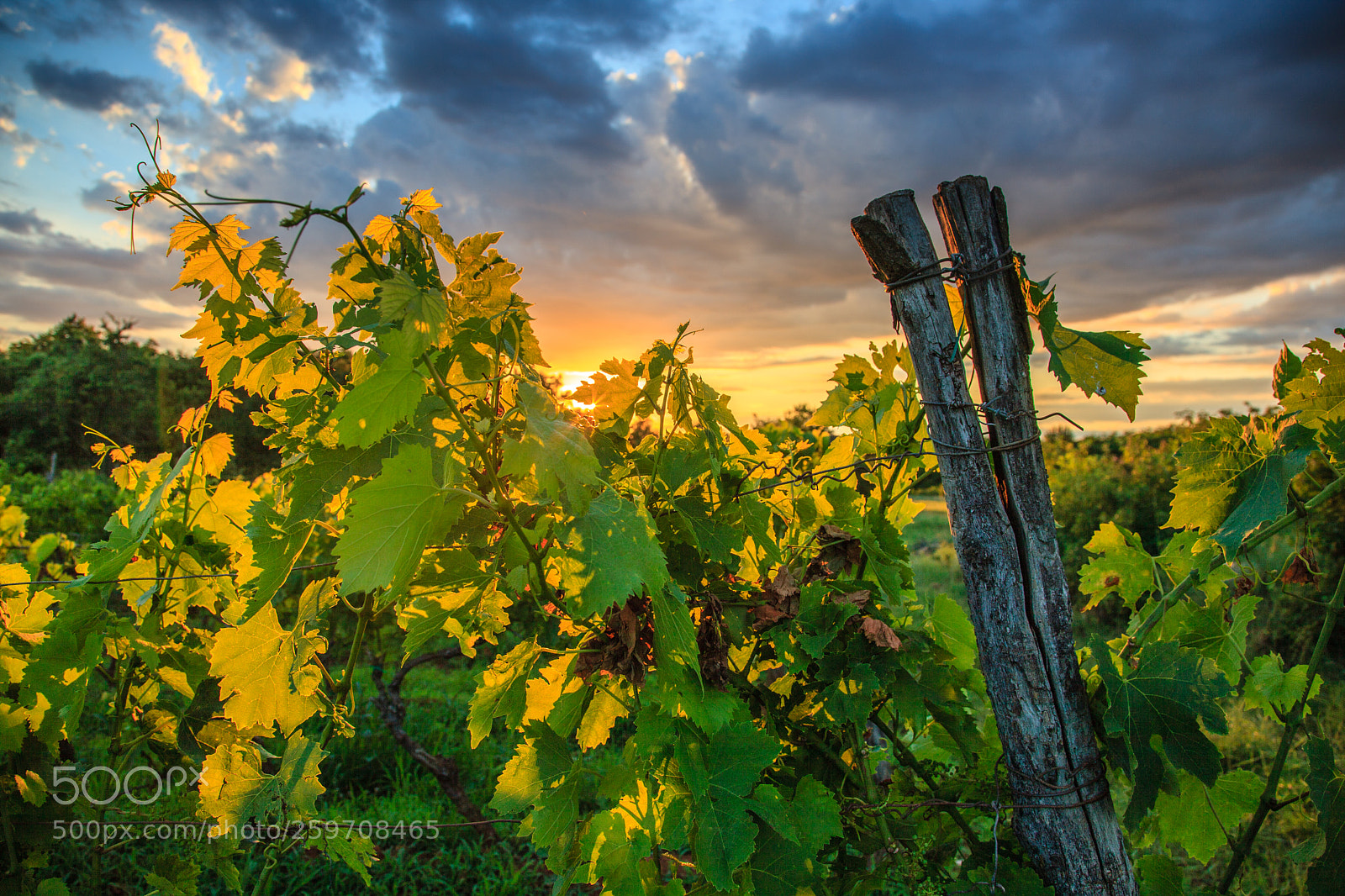 Canon EOS 5D Mark II sample photo. Sunrise photography